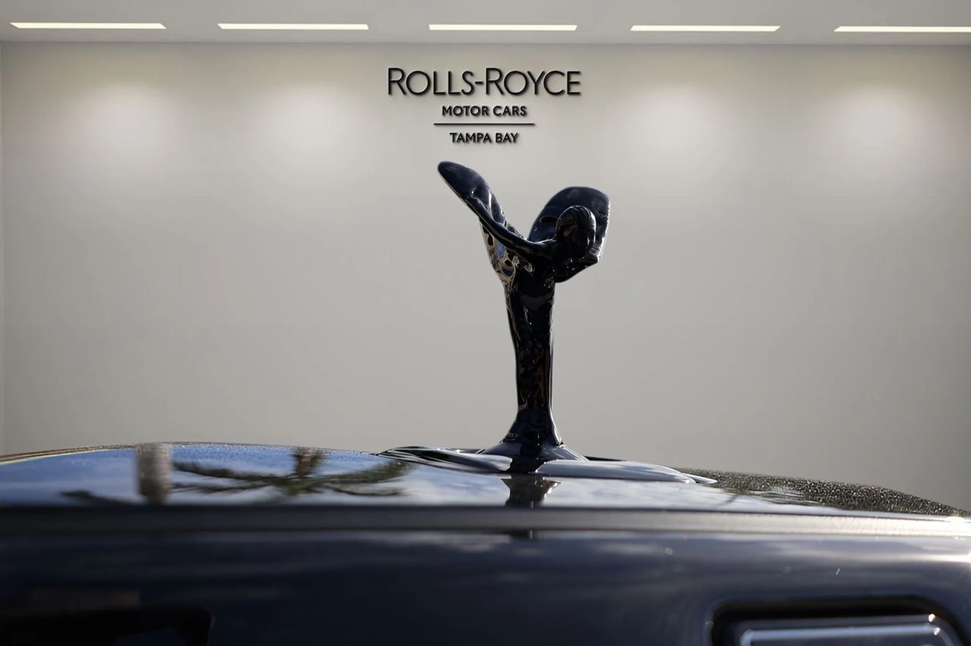 mph006_1717147885_7_e8fde01d1a