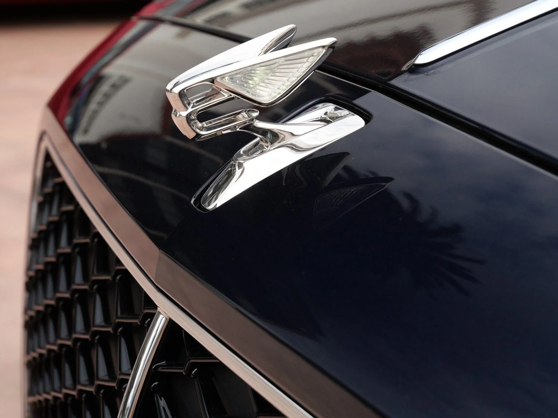 mph006_1722939329_ac0b1267ee786f520348d1833a55274dx_c0af940a68