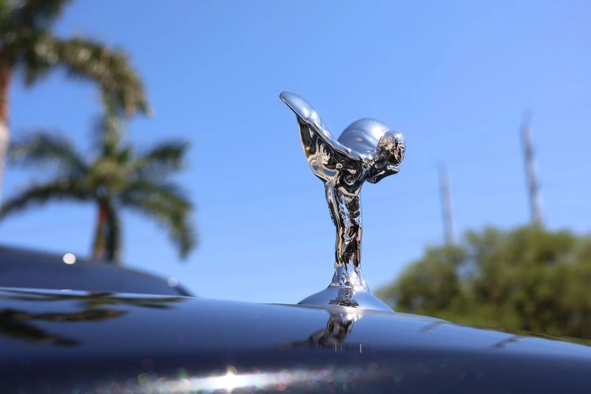 mph006_1751549902_7_44980f9477