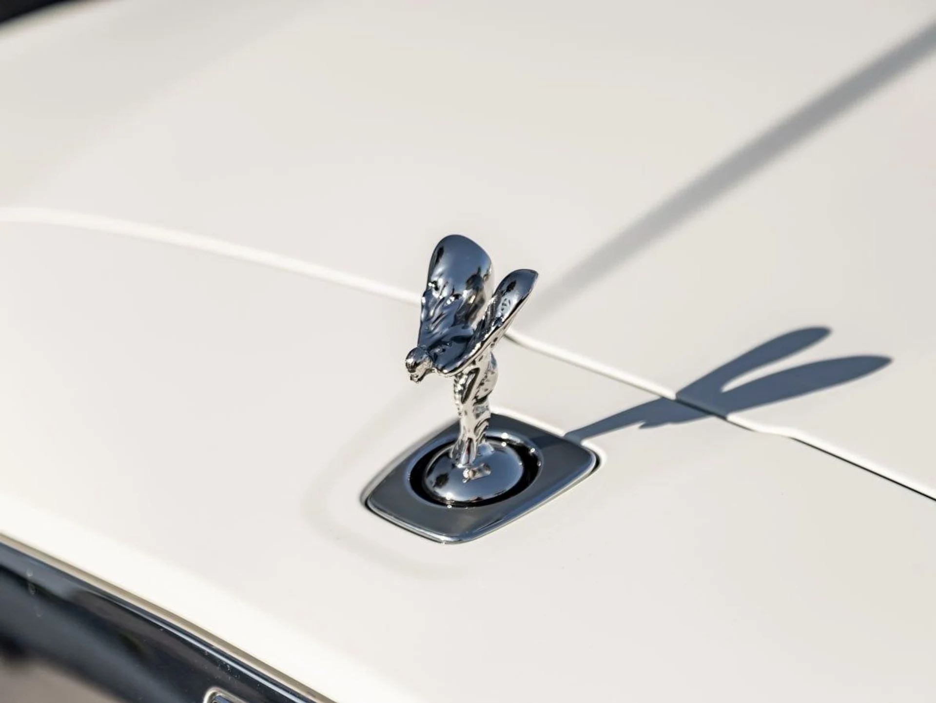 mph006_1759262682_7_f16cec0818