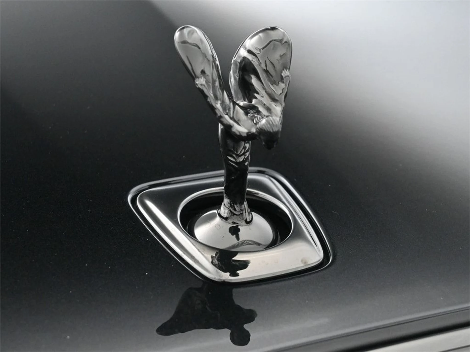 mph006_1790601667_c0e4a51217e0771ac405f79d4dbb26dex_1c33ea739a