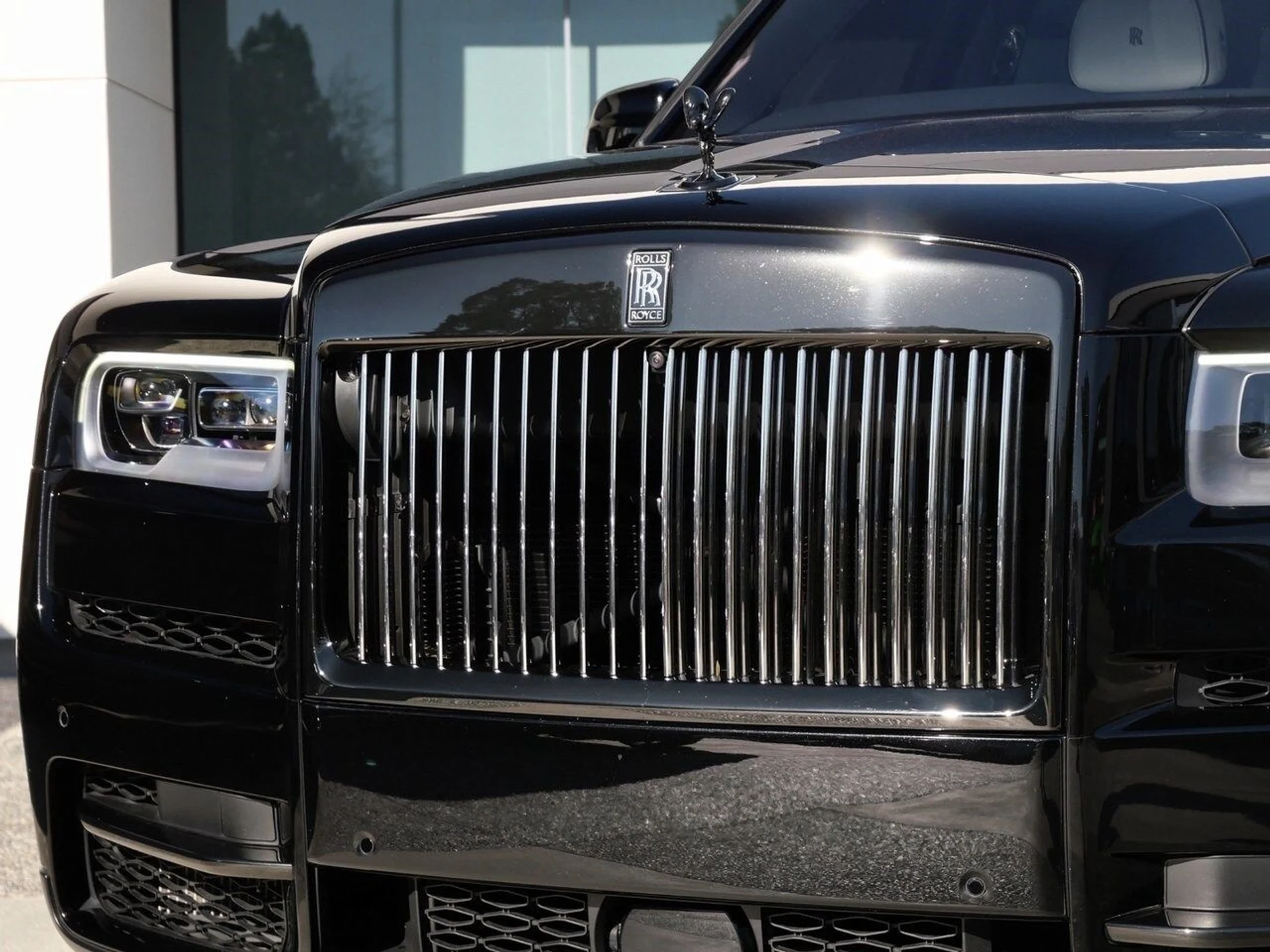 mph006_1796452300_dc4373ed88f75ce103b6bffa6439b66cx_a2c031174b