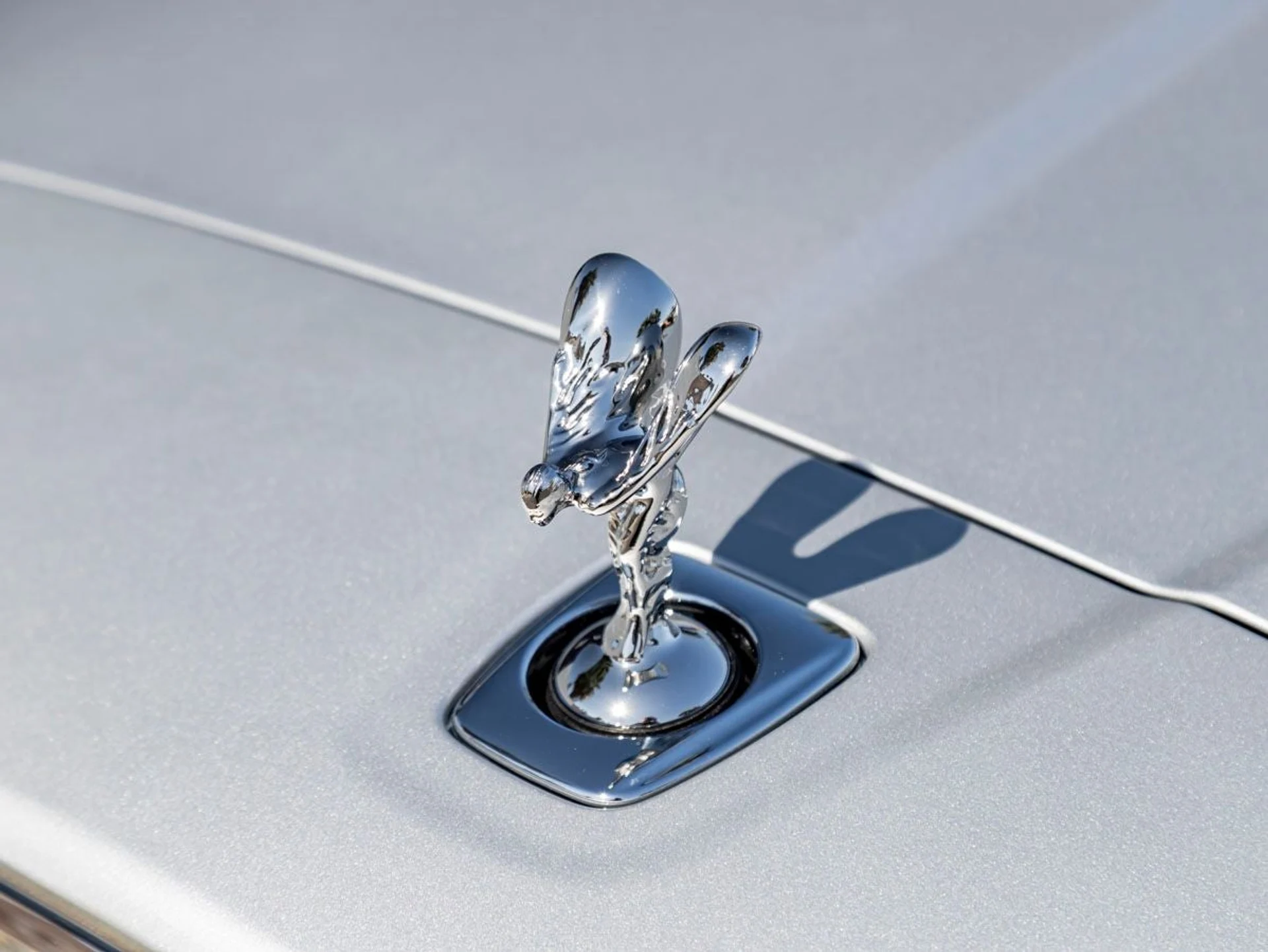 mph006_180203609_7_b9301595f6