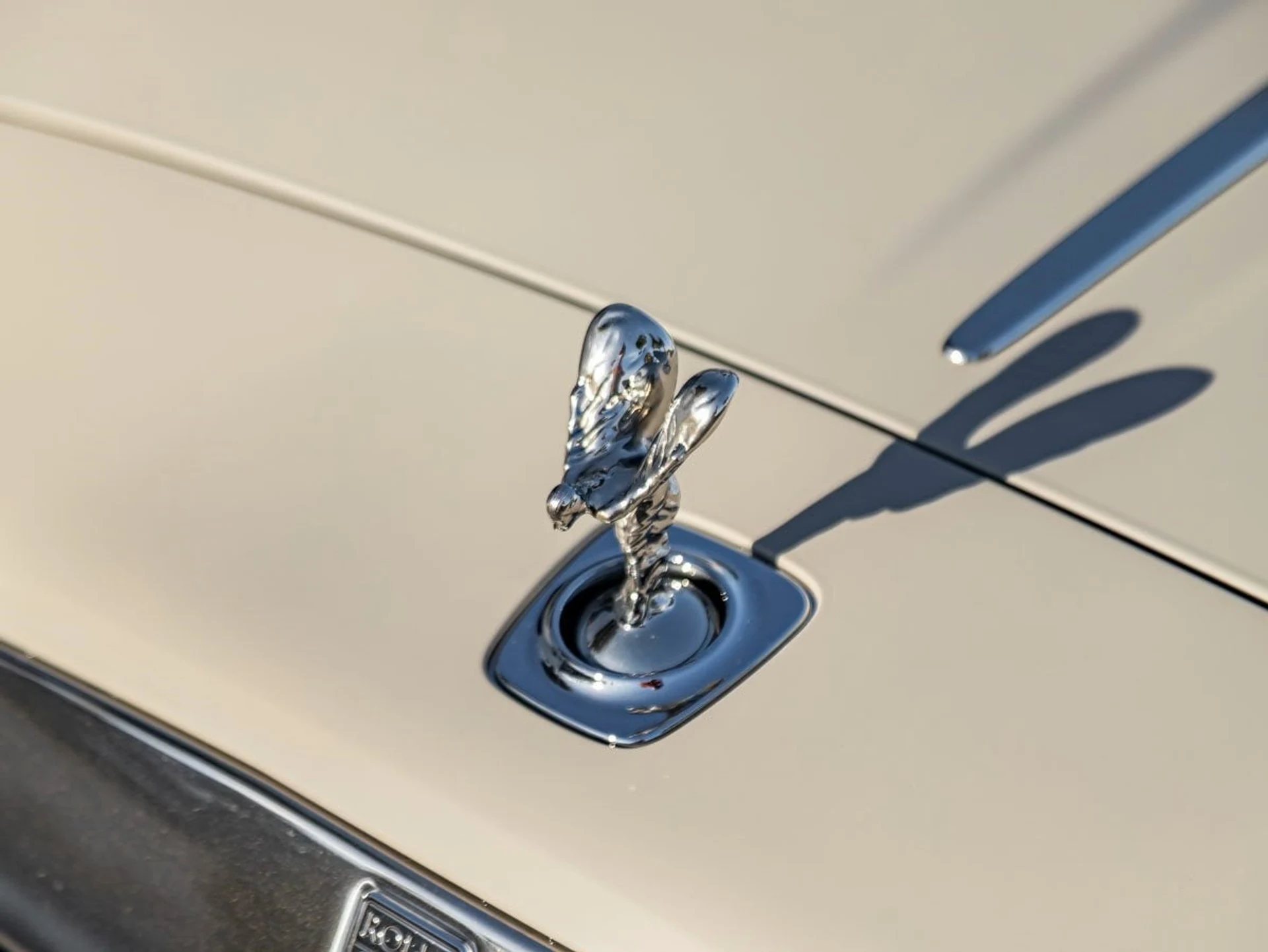 mph006_1832548955_7_d928eff716