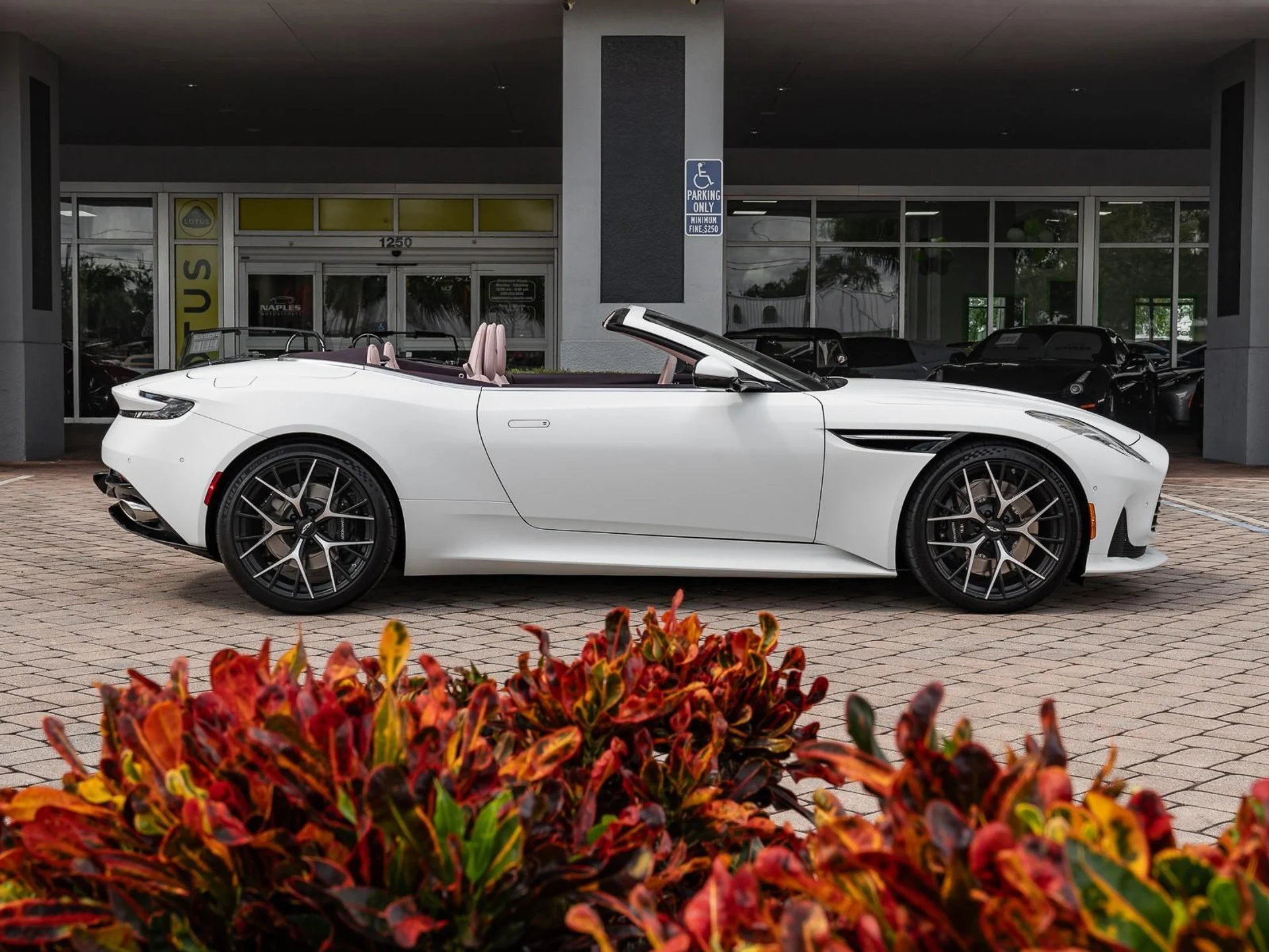 mph006_1838823336_Used_2025_Aston_Martin_DB_12_1761167122_06a130d14f