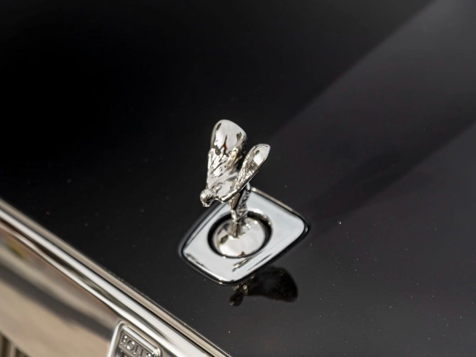 mph006_1862210565_7_c34429ada5