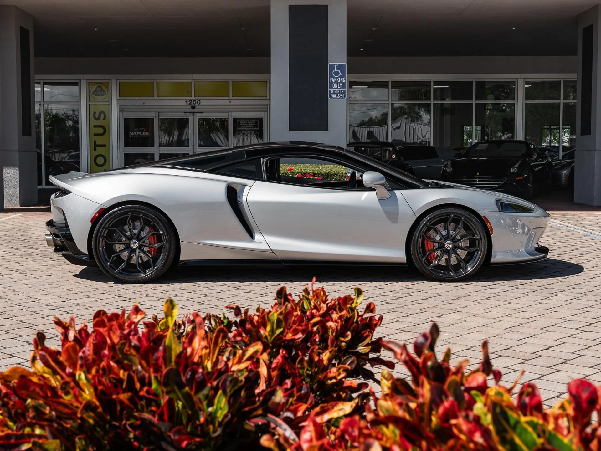 mph006_1865928158_Used_2021_Mc_Laren_GT_1761253578_76a092260d