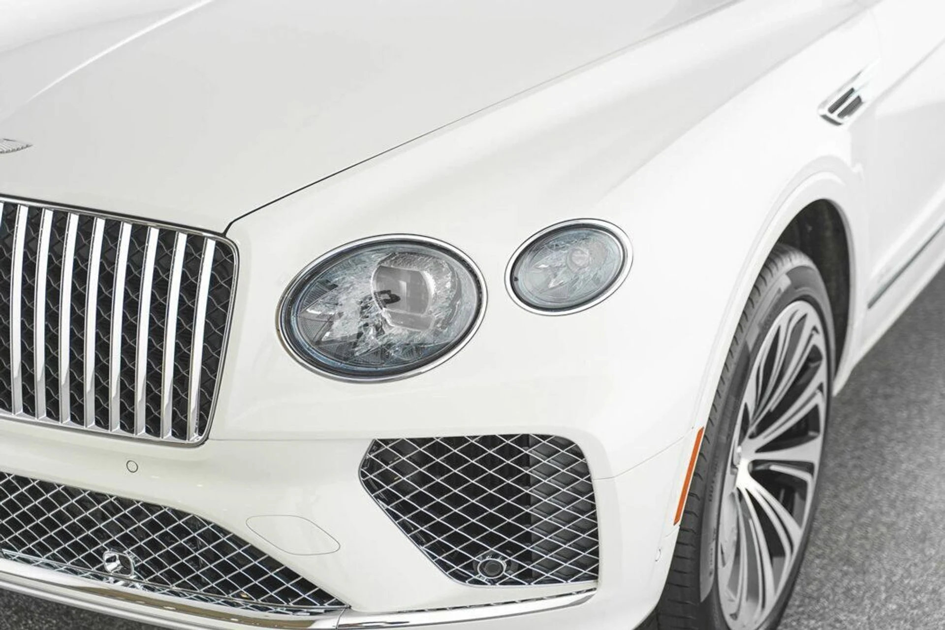 mph006_187324119_934e524c39c16e92cce1c7f5c44885bd_f2bc615d4a