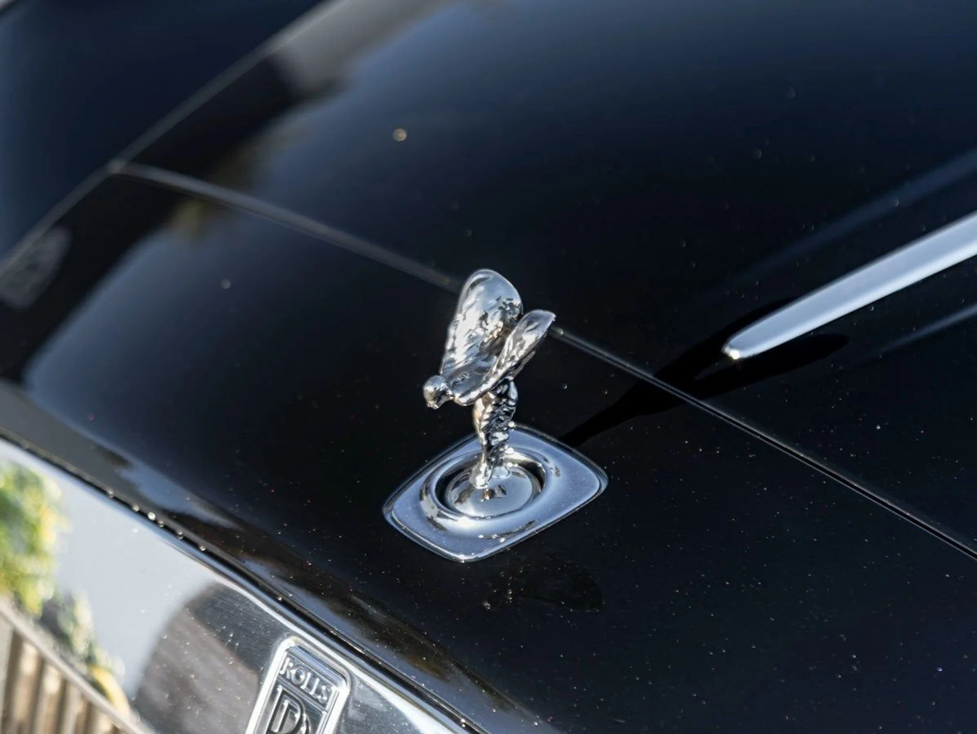 mph006_1881234320_7_a44e643dd7