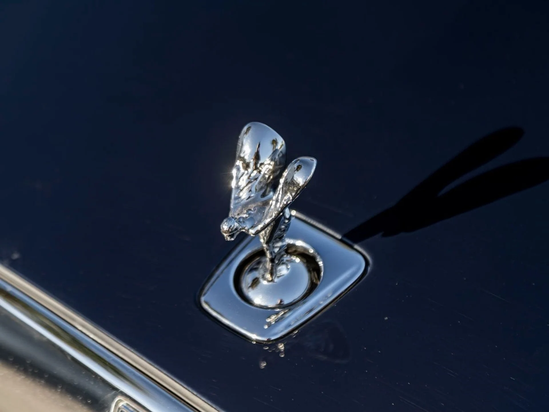 mph006_1882296722_7_82575edf0f