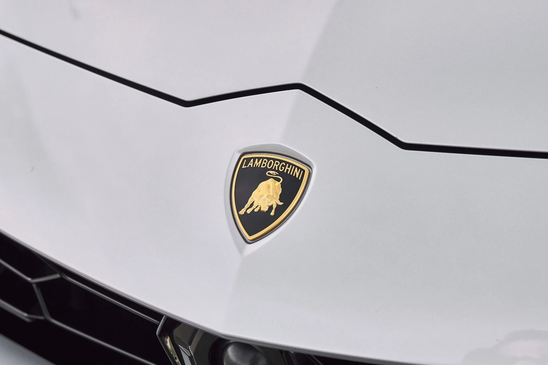 mph006_1902598715_Used_2021_Lamborghini_Urus_1771117224_df3ff274e3