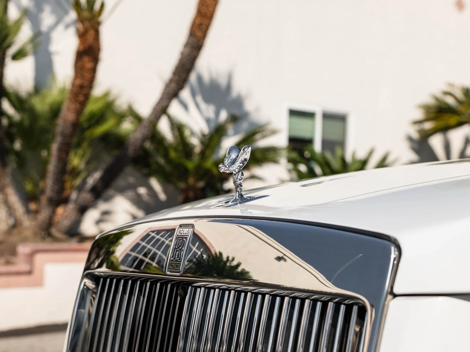 mph006_1933763635_d2dd346064f13c3b2832026a13beb4bex_7ebb76d47d