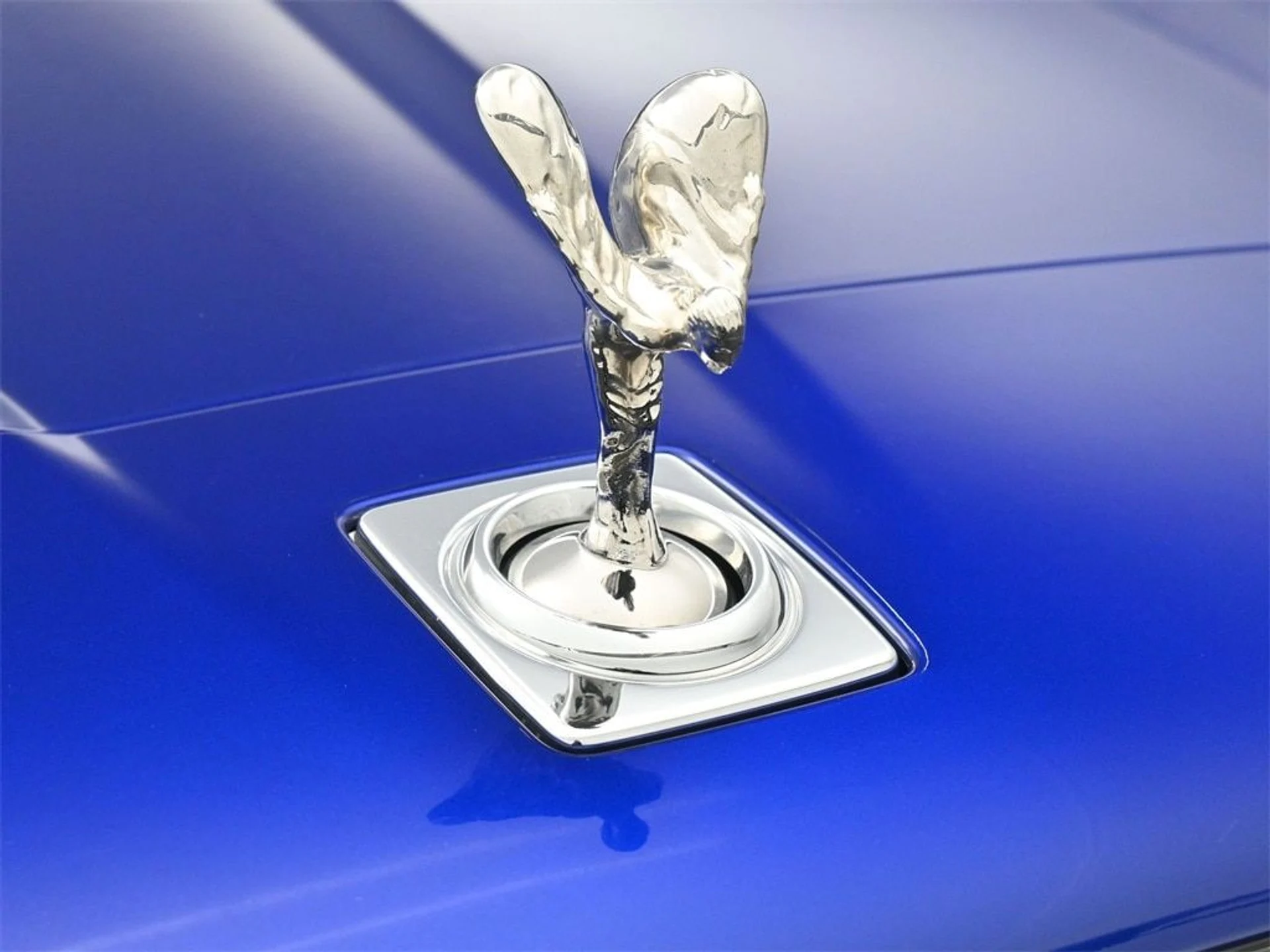 mph006_1964620867_5e8b9681430918a3d621d3bd69773508x_76e944b564