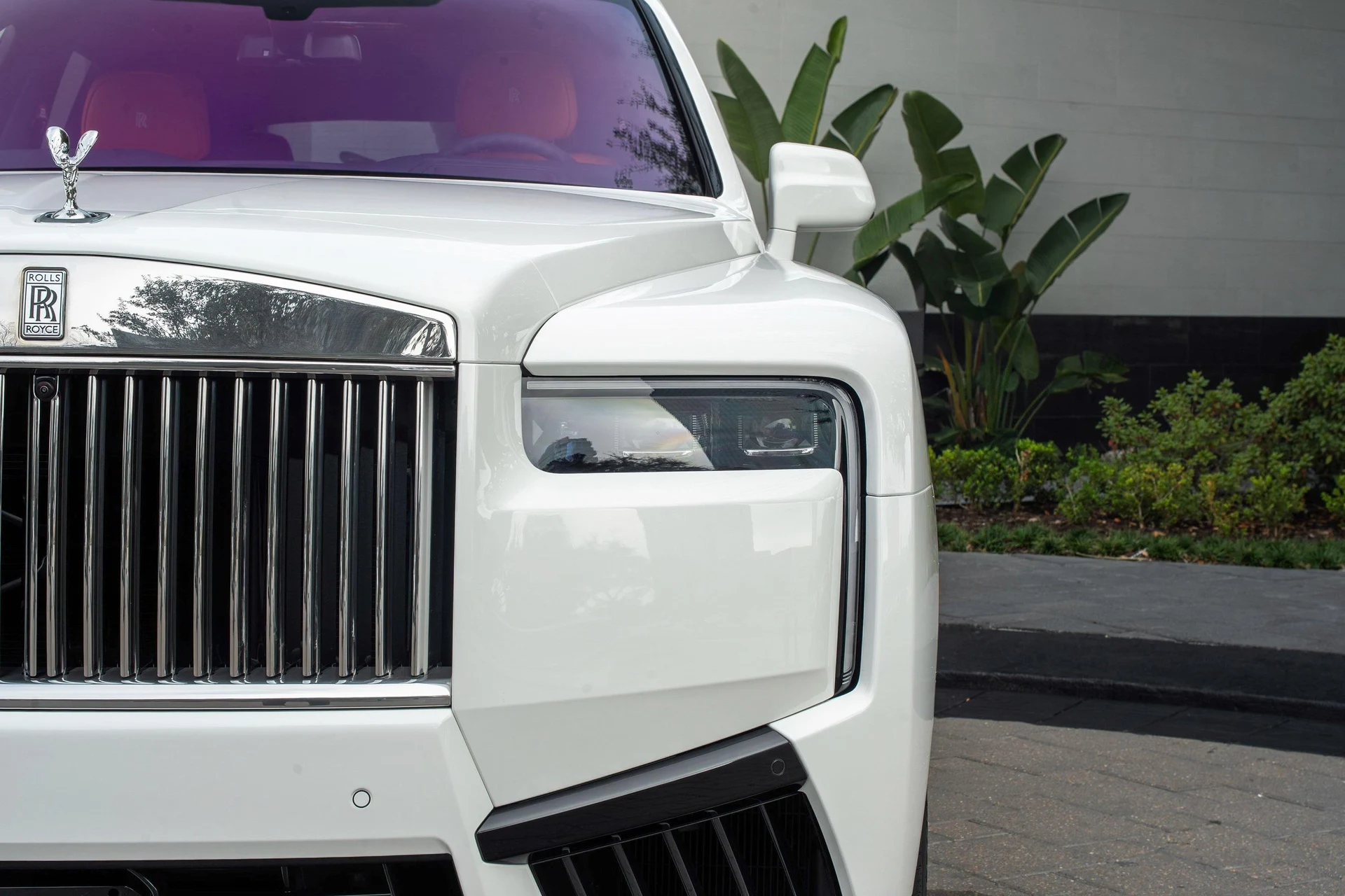 mph006_1981998396_477983144_695f53e64b0ded1c3975a60f_8ce35460f0