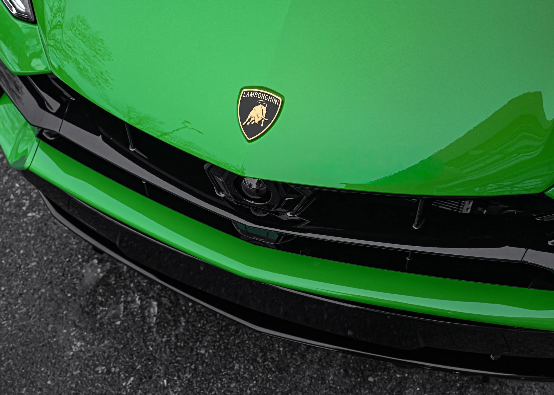 mph006_1988507396_c2801e98_cc9b_479f_a1de_e4e52057abc9_17c5d8d2e3