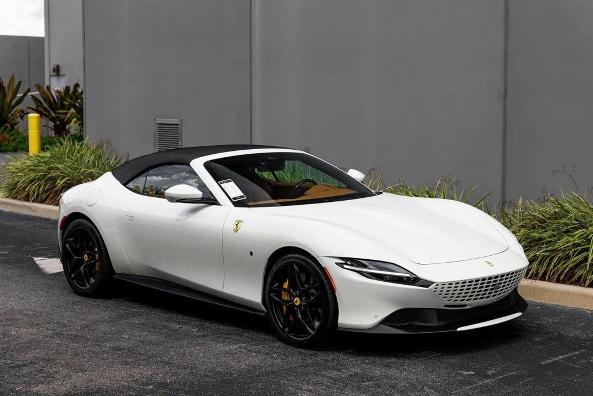 mph006_2022324859_f580deffcec9bd39133688fee23f13f1_479634a56f