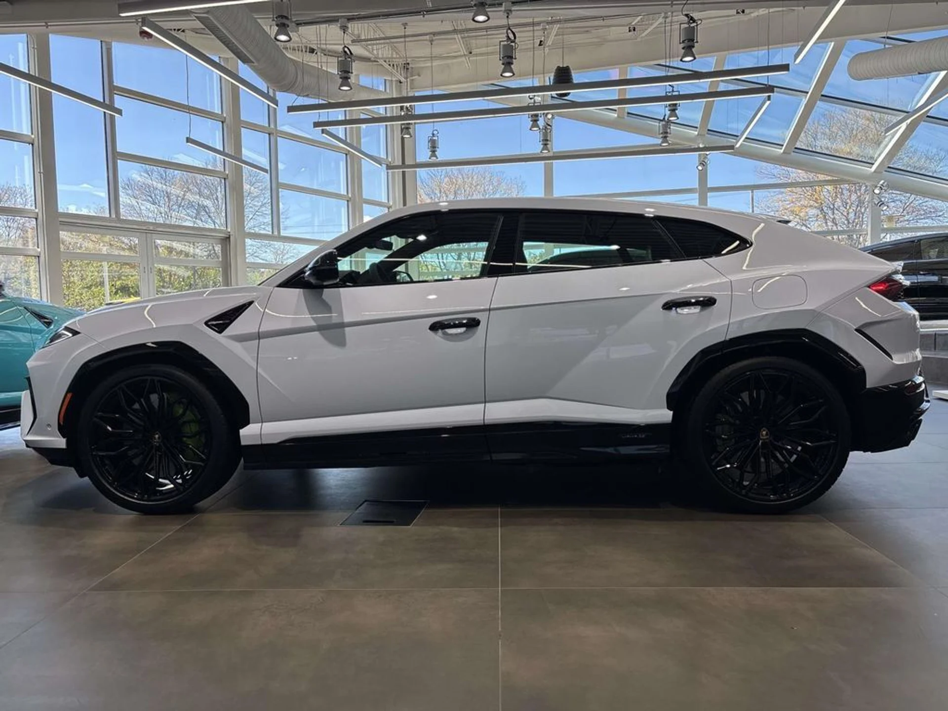 mph006_2067830217_65498bdda3a5dd9f6e53c3685a13d9f0x_6385419415