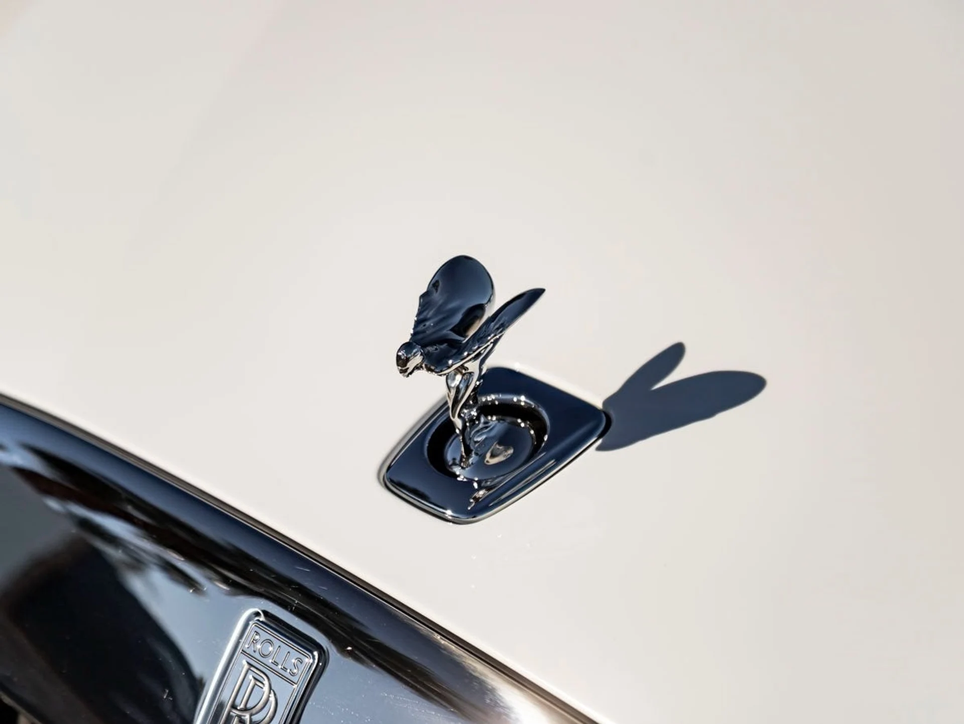 mph006_2072670432_7_6896de3272