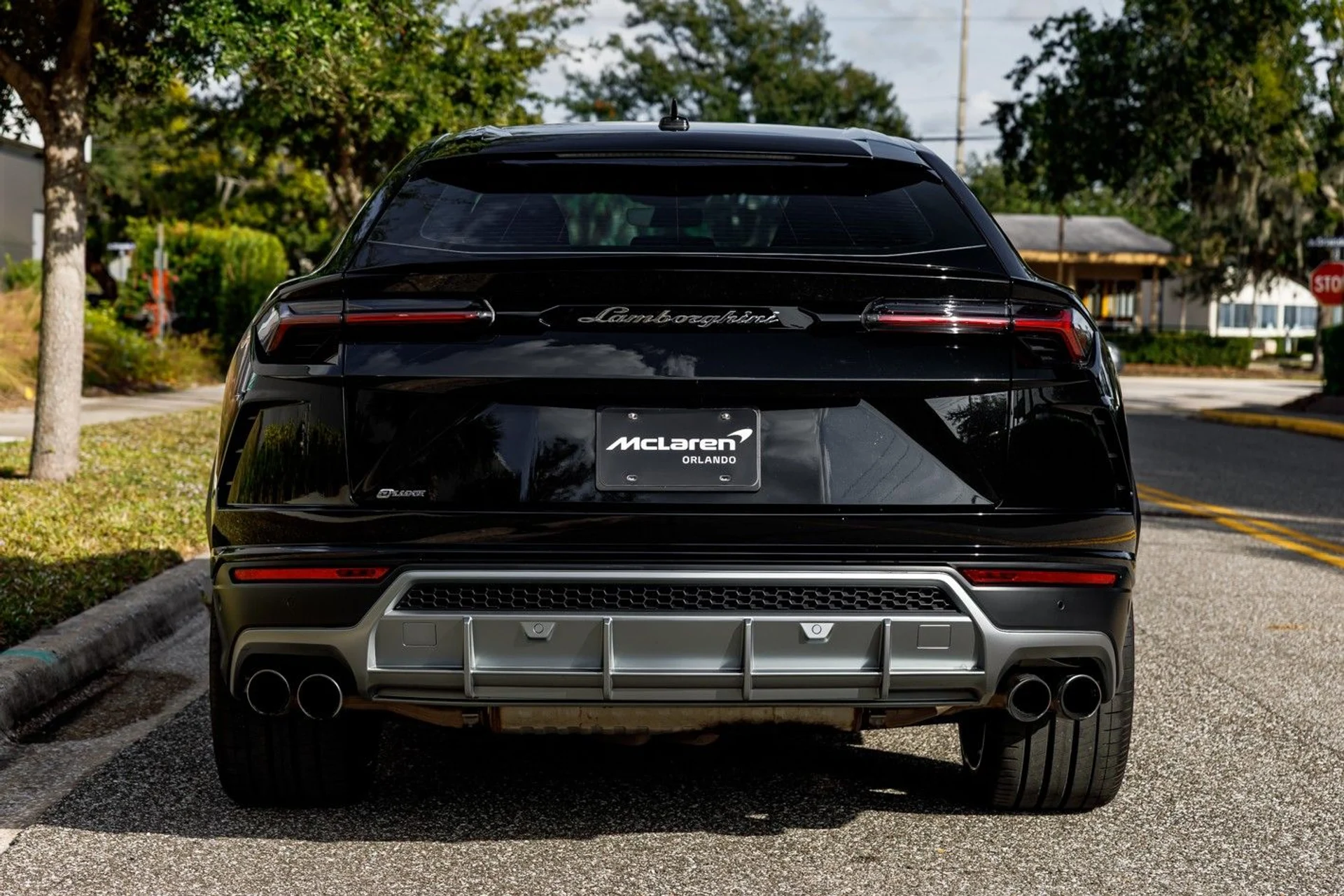 mph006_2077209879_624_p7_l_fcdc2b7f80