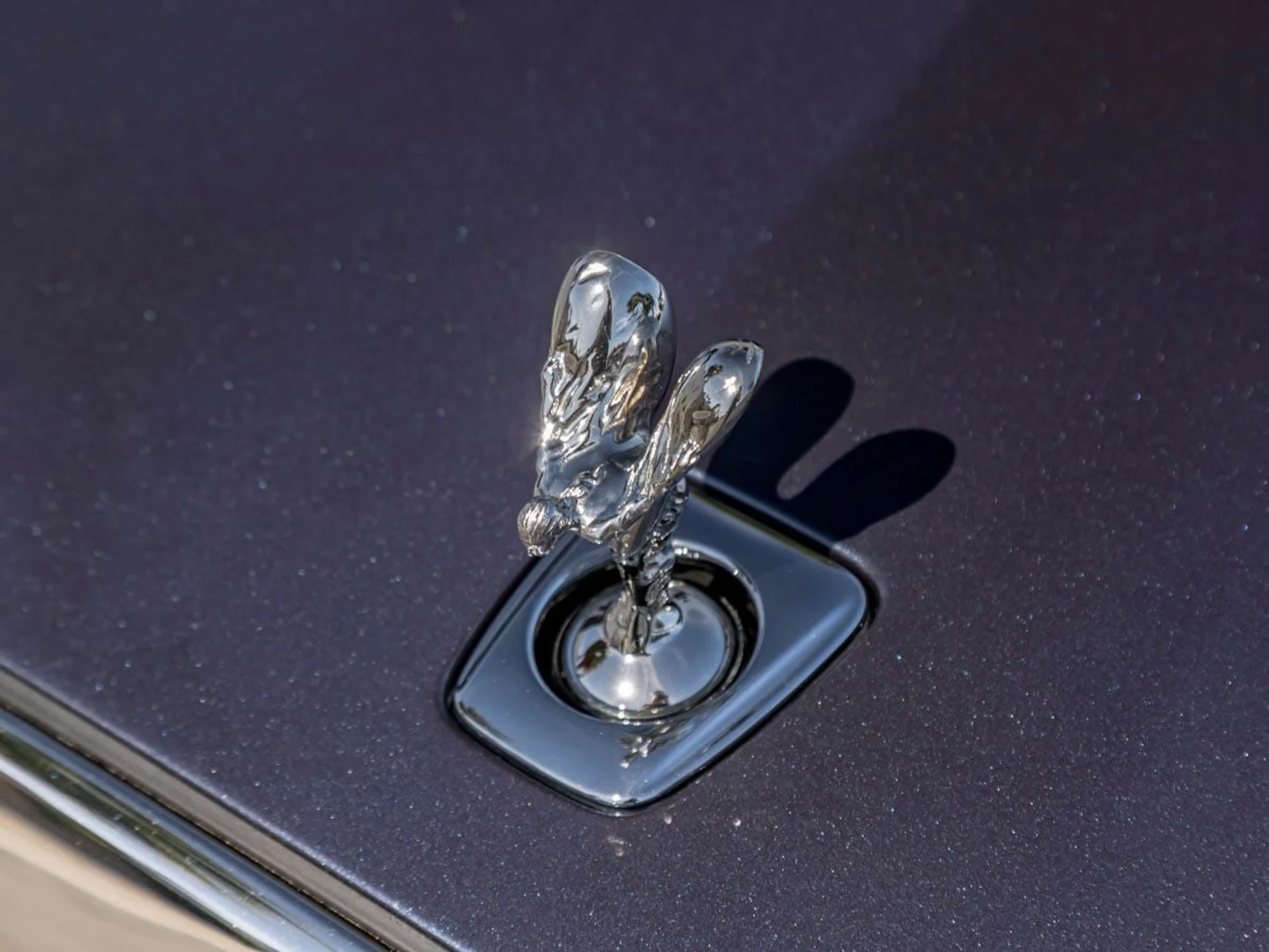 mph006_2088080534_7_6b831515c7