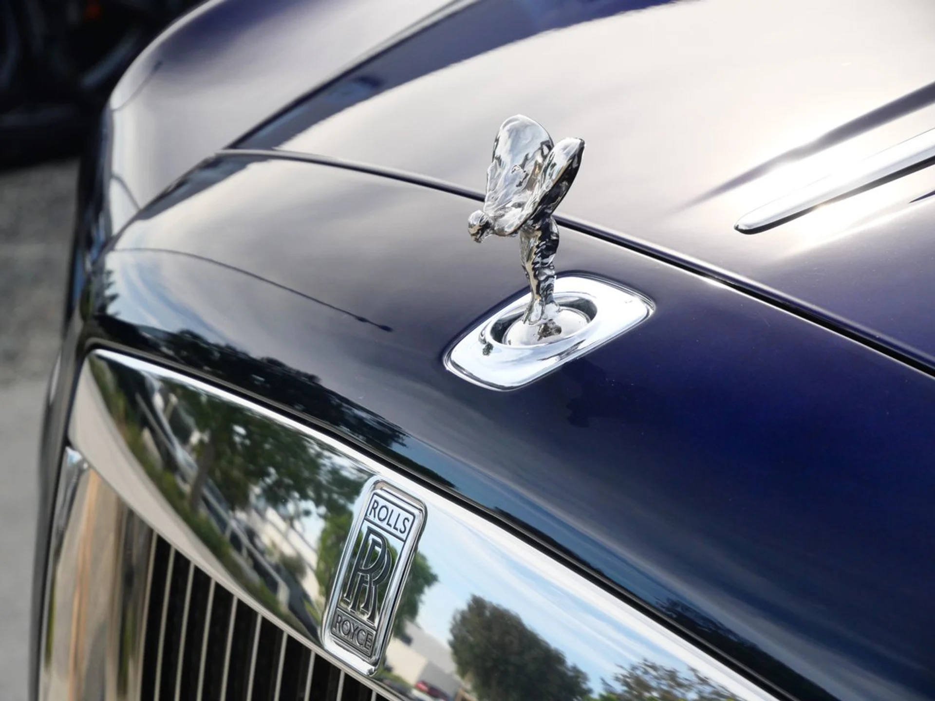 mph006_2102500396_aad21562909ff2d858cb2d6258be5e53x_4983057b09