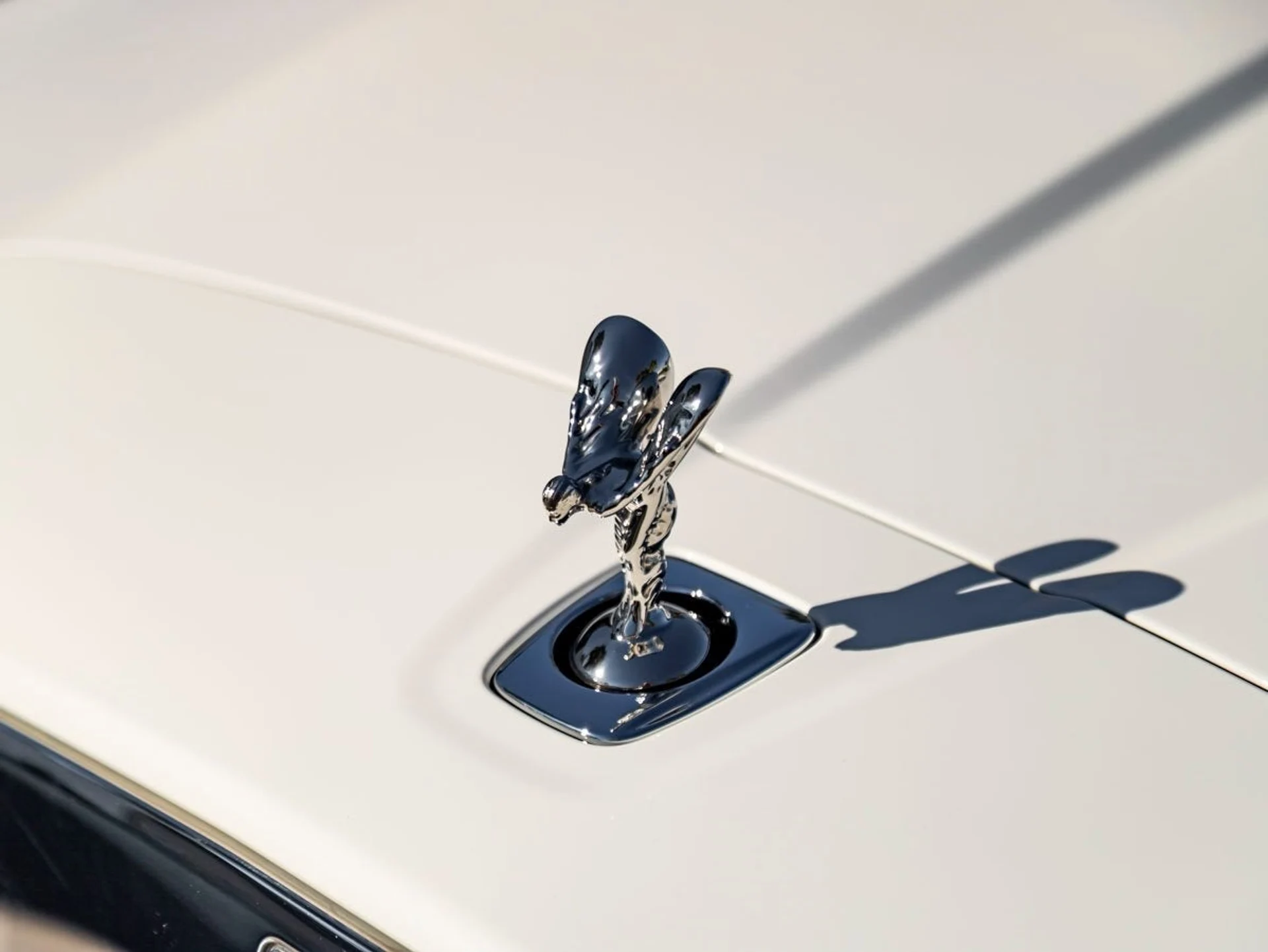 mph006_2108531181_7_e22cf95a51