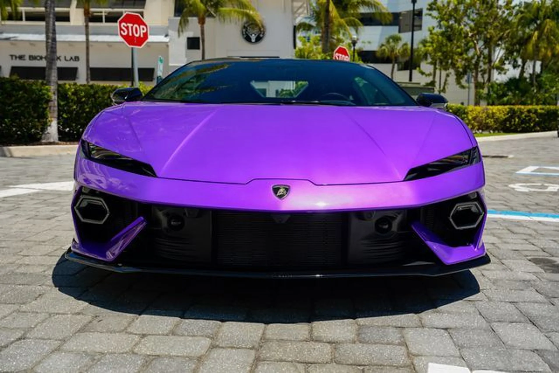 mph006_2126395386_23014494_7_43108600cd