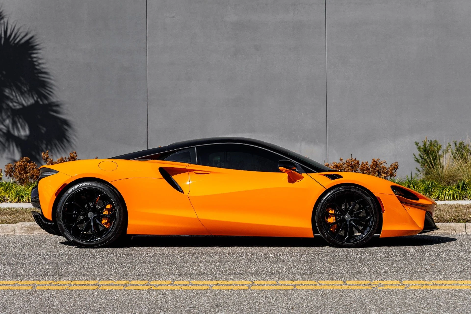 mph006_2148393060_653_p7_l_d7954db75e