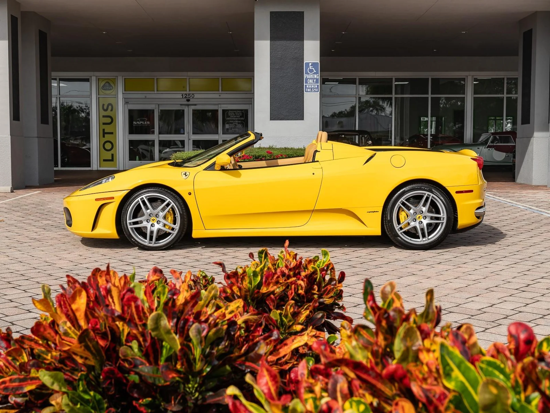 mph006_2172861701_Used_2005_Ferrari_430_Spider_1759514716_7010e54d5e