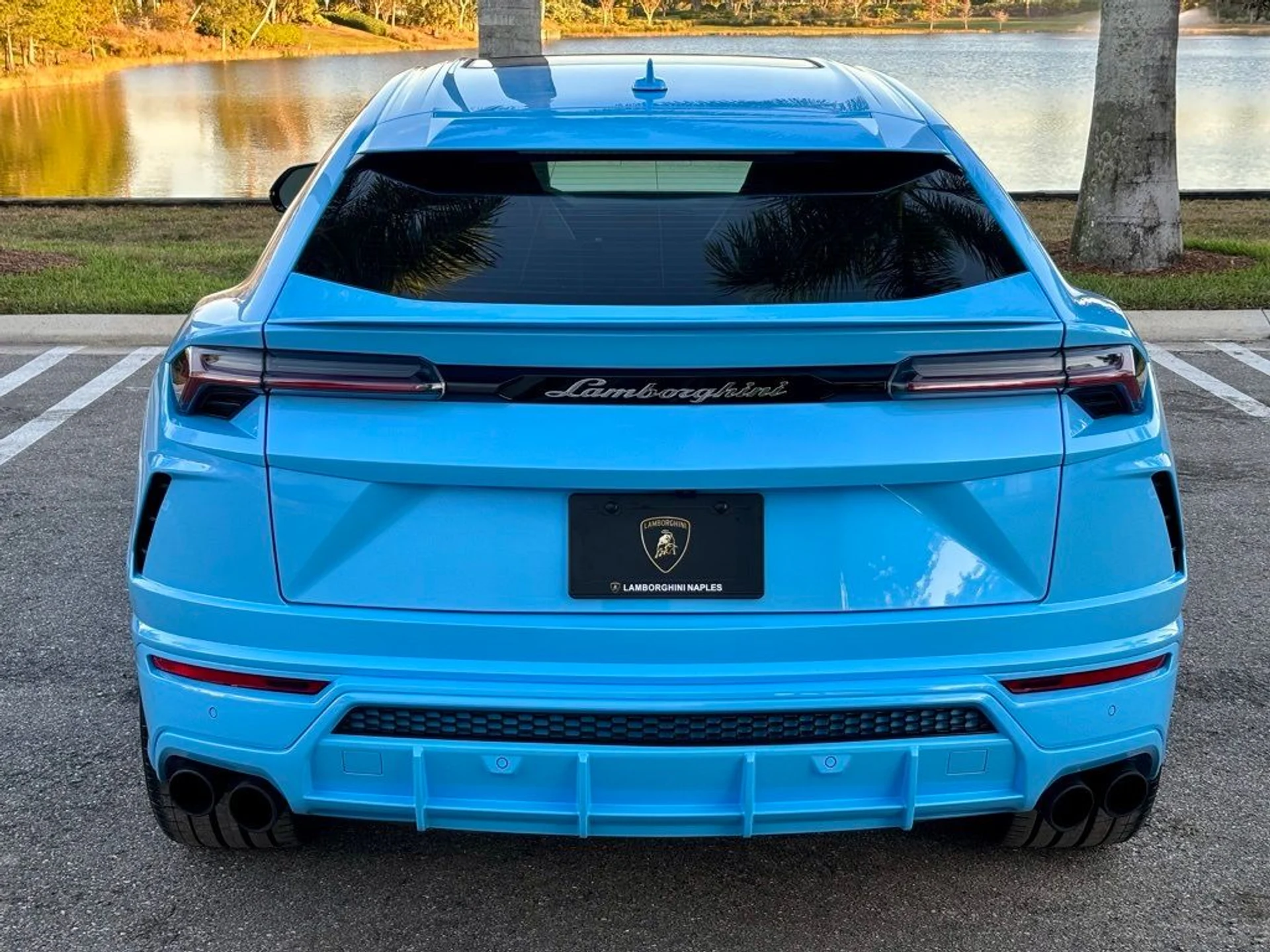 mph006_2180722643_5a0a0c6720576fb9f81d8422e6bf0598_1bf28b8424