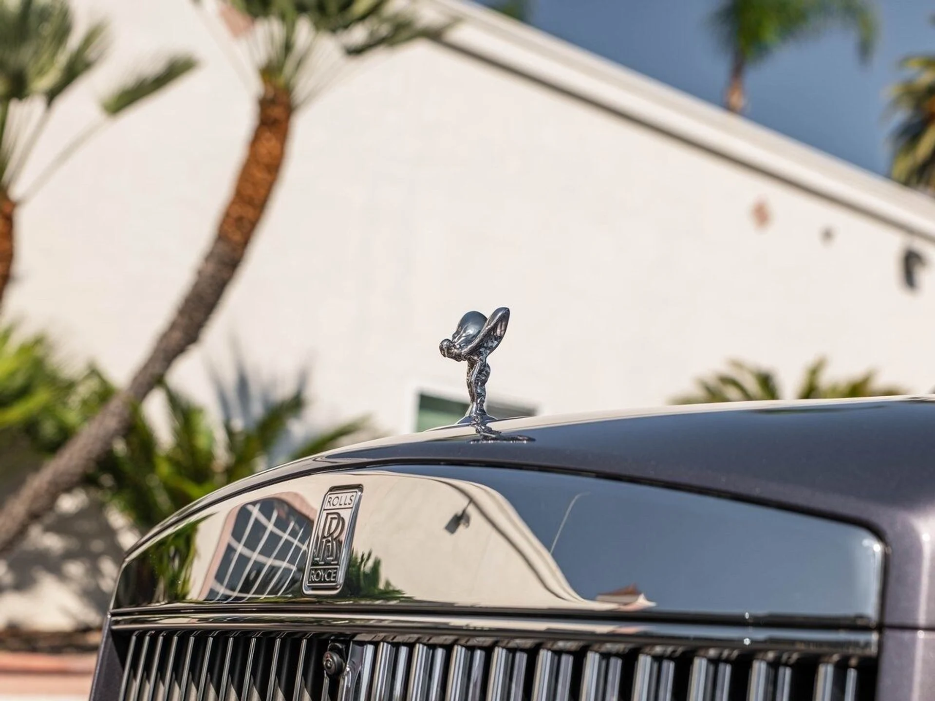 mph006_2195037383_d5791fa6f5dd61079d9f0b47ff0bcfc4x_1320b7d4ee