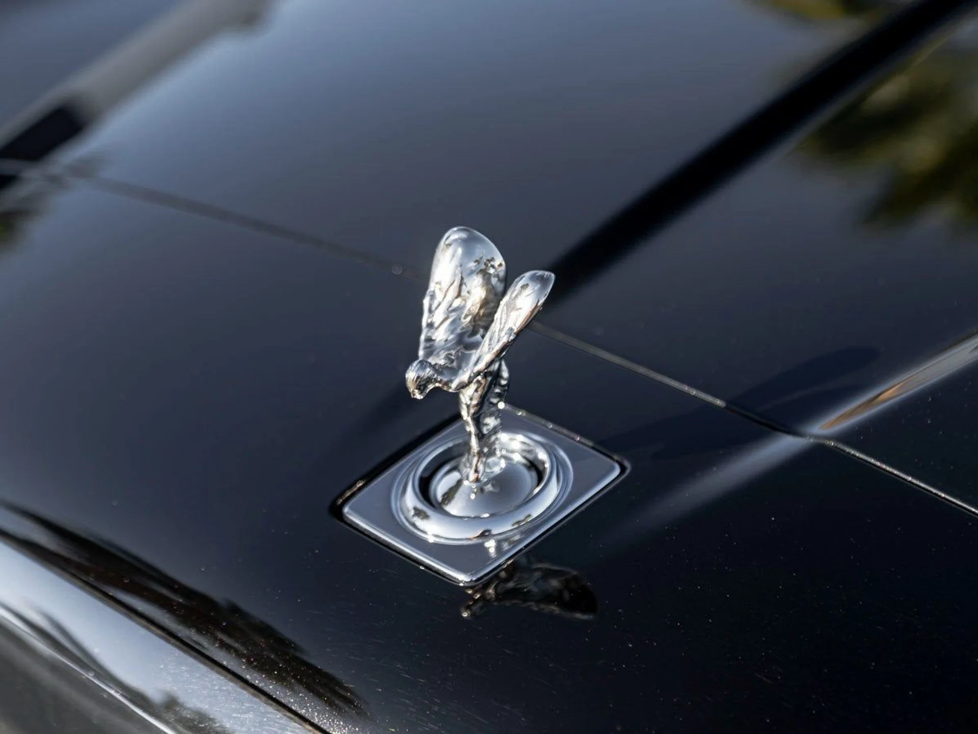 mph006_2206482111_7_ba8b3e91a8