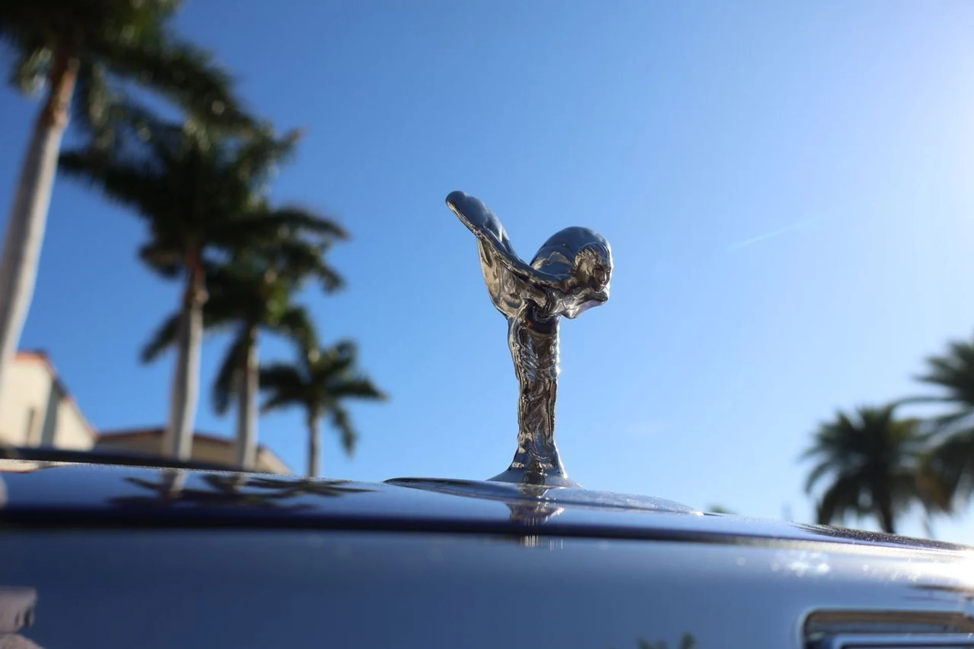 mph006_221412223_7_f1260a5dc7