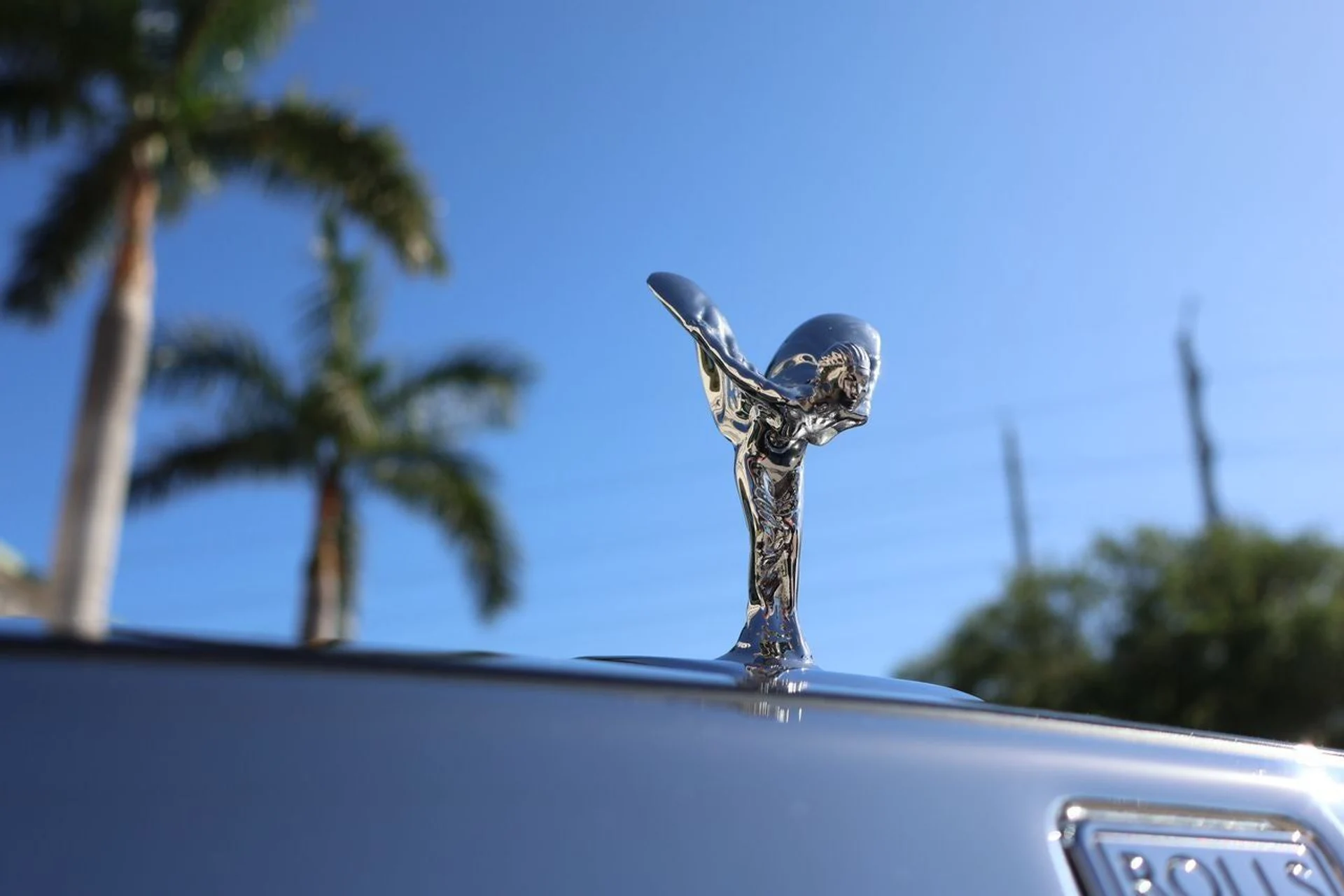 mph006_2219763289_7_338b6ed404