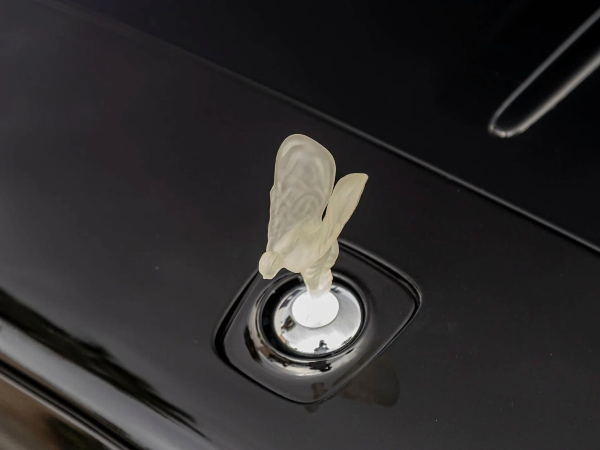 mph006_2223371184_7_5027be4f05