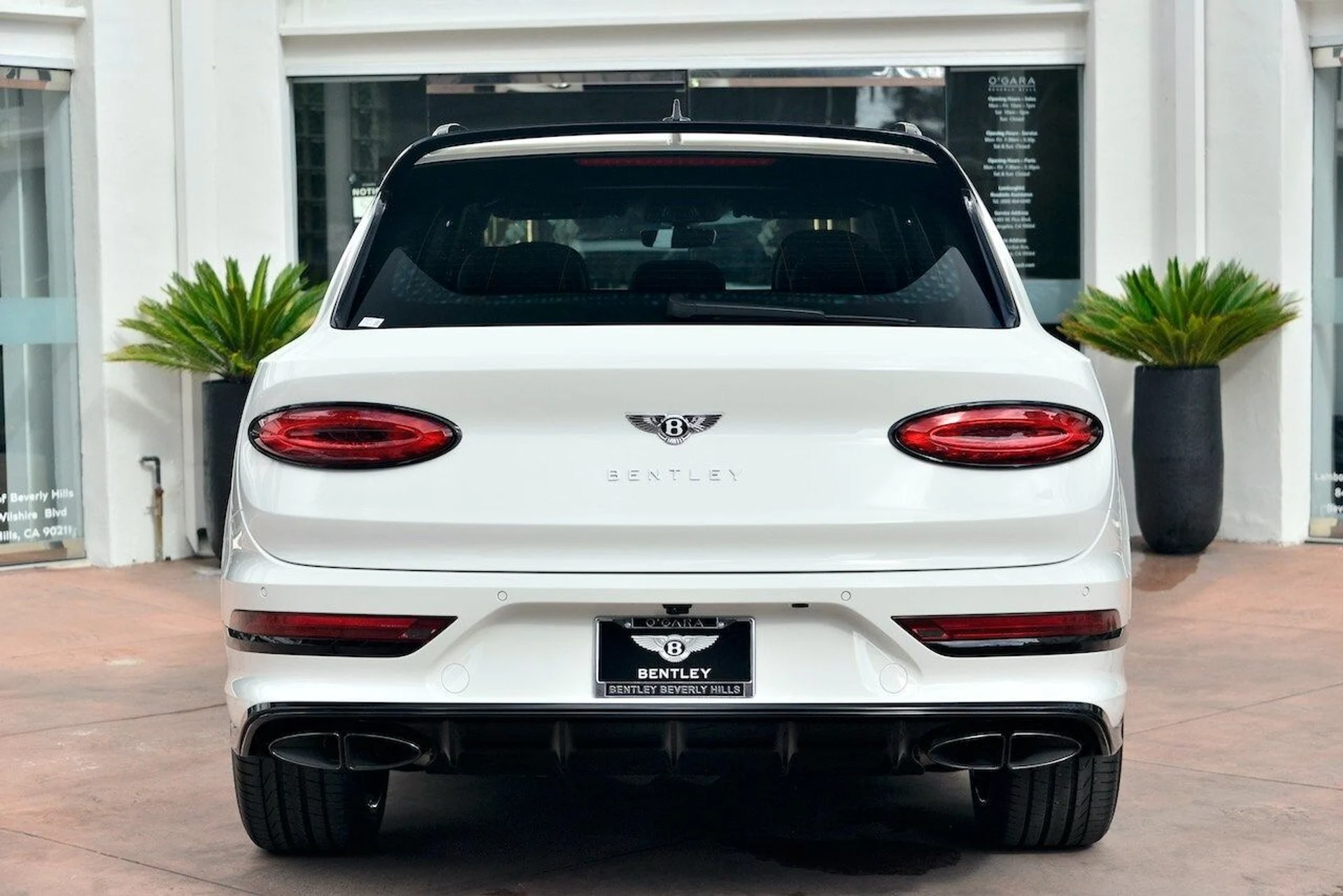 mph006_2228765347_86b14779a2a2268e613178c70d3113cbx_1ddf67b065