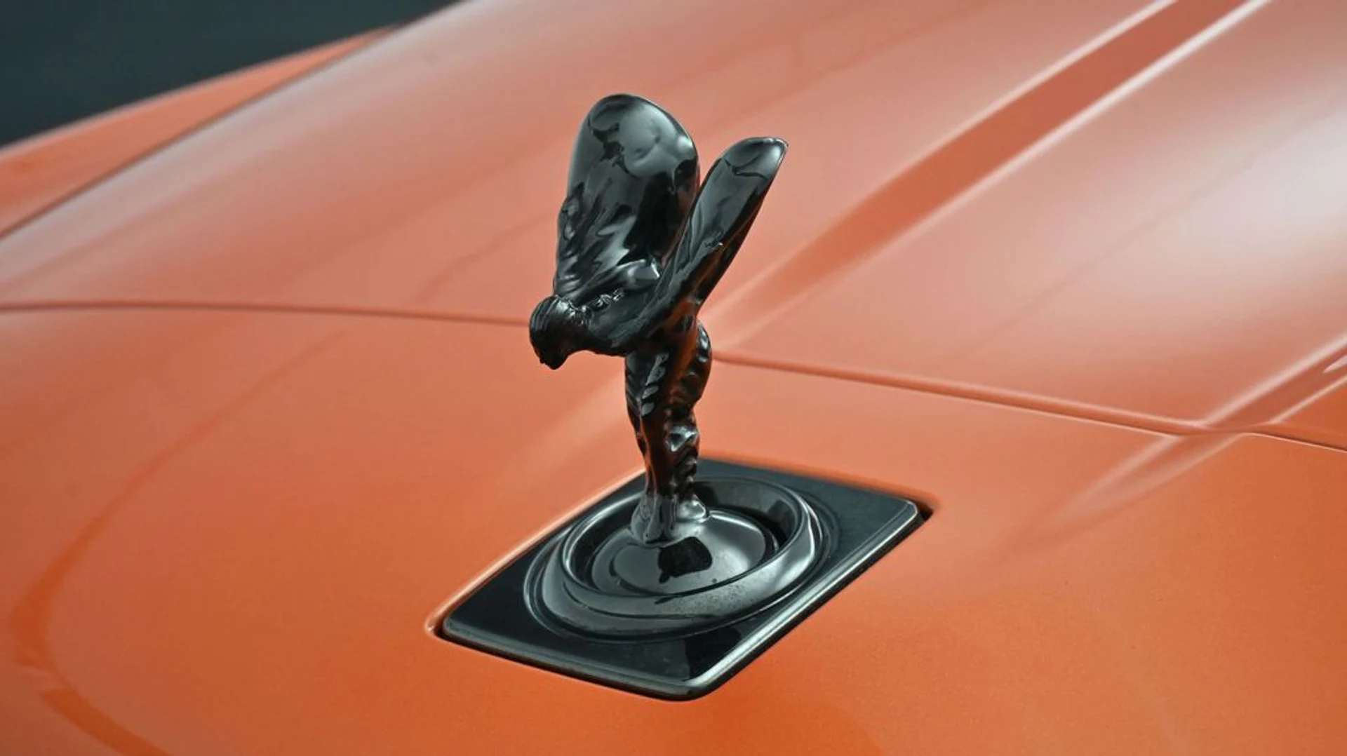 mph006_2244587603_715fbedd1ffeabd6b73443c759e409e2x_3251da2255