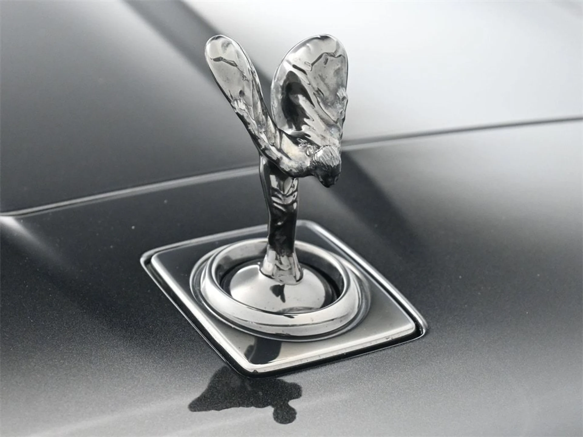 mph006_2245738935_7b510159b6009e6fa2f476a09defcc98x_b921de2ed5