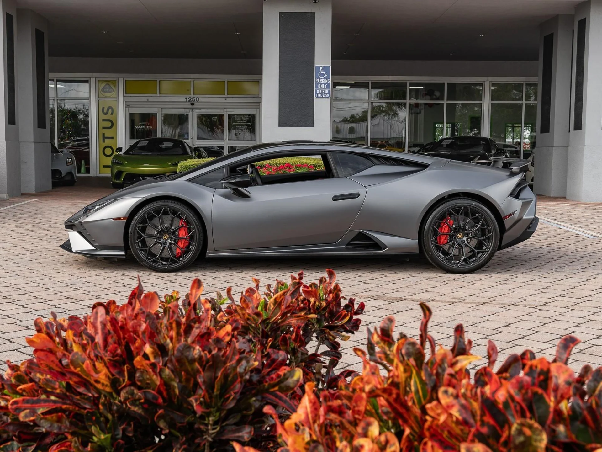 mph006_2282522096_Used_2024_Lamborghini_Huracan_Tecnica_1766091965_9fa1f32fbf