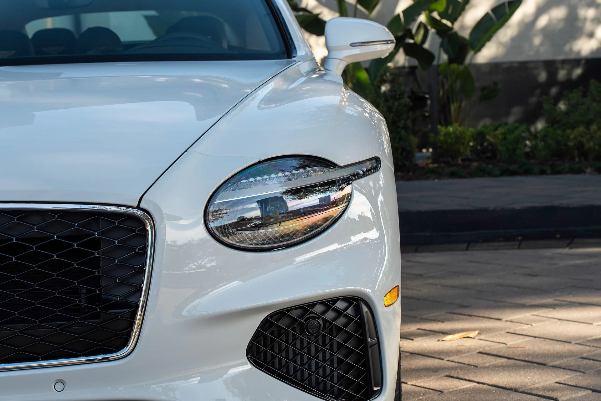 mph006_2283589711_481316811_69687ebe447c7a58e8acee3d_c26a445532