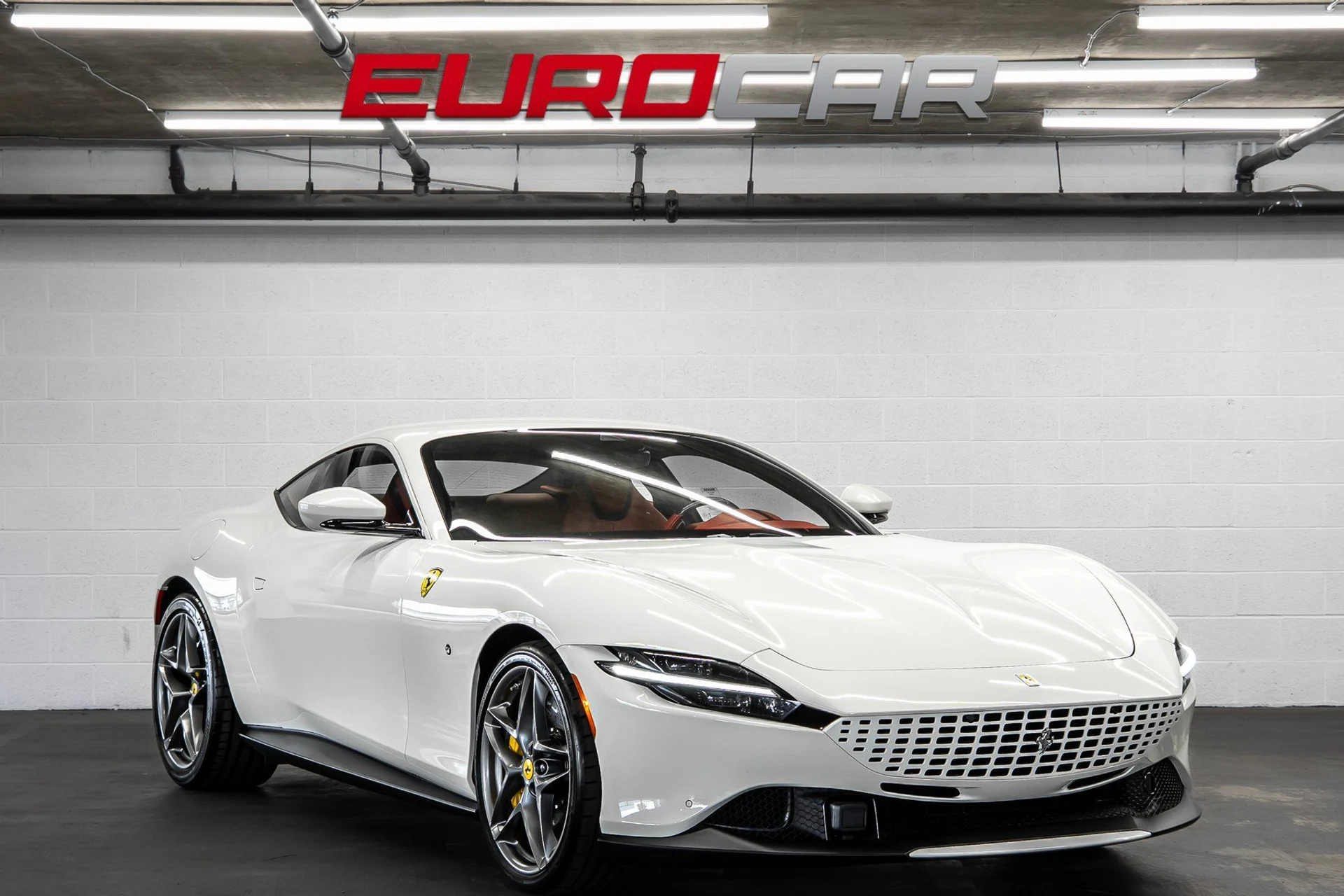 mph006_2305841801_16cff7dd_5047_409a_a05c_ecf17770ef86_595768da38