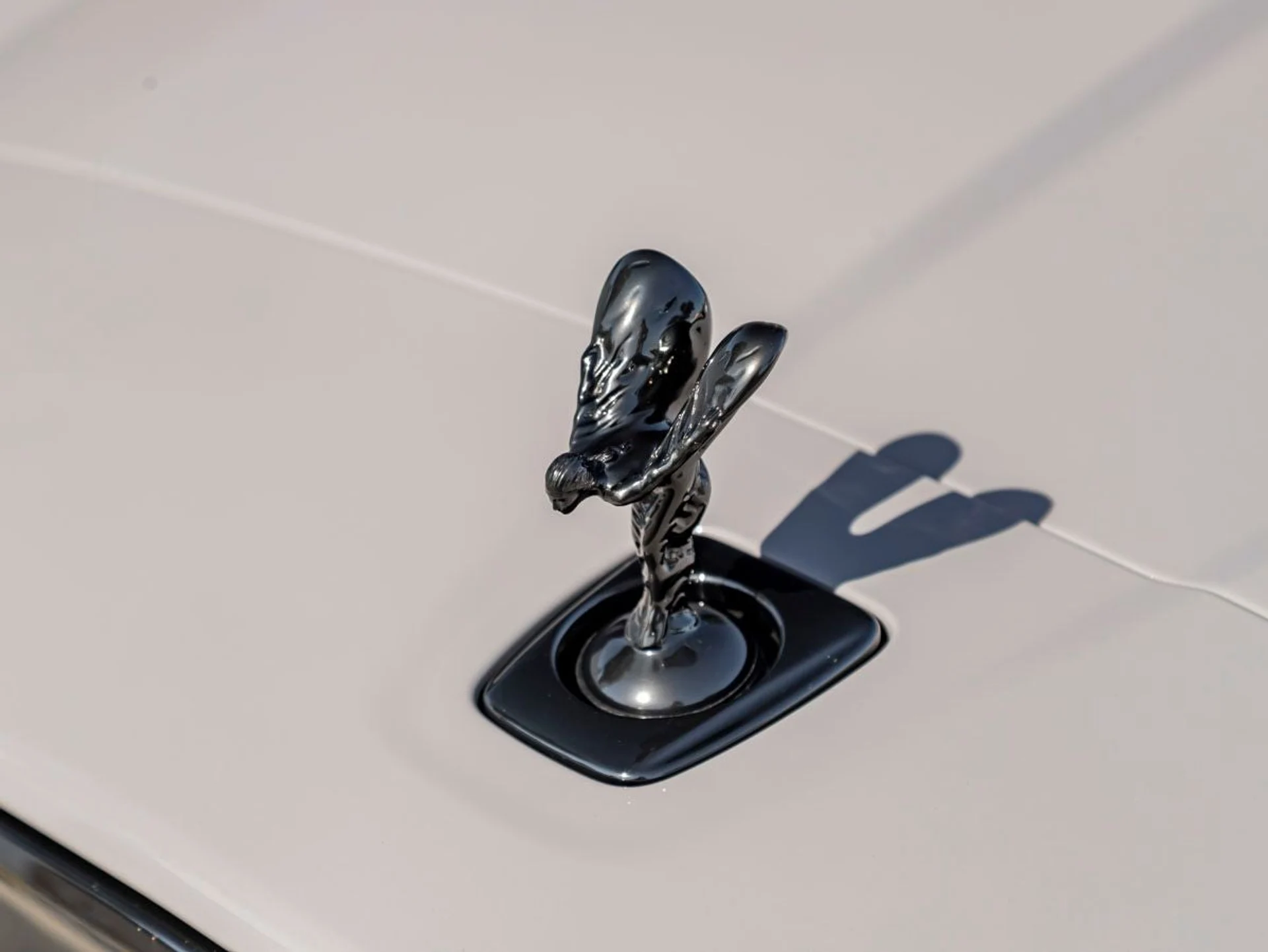 mph006_2318187397_7_5b8eb1ec3f