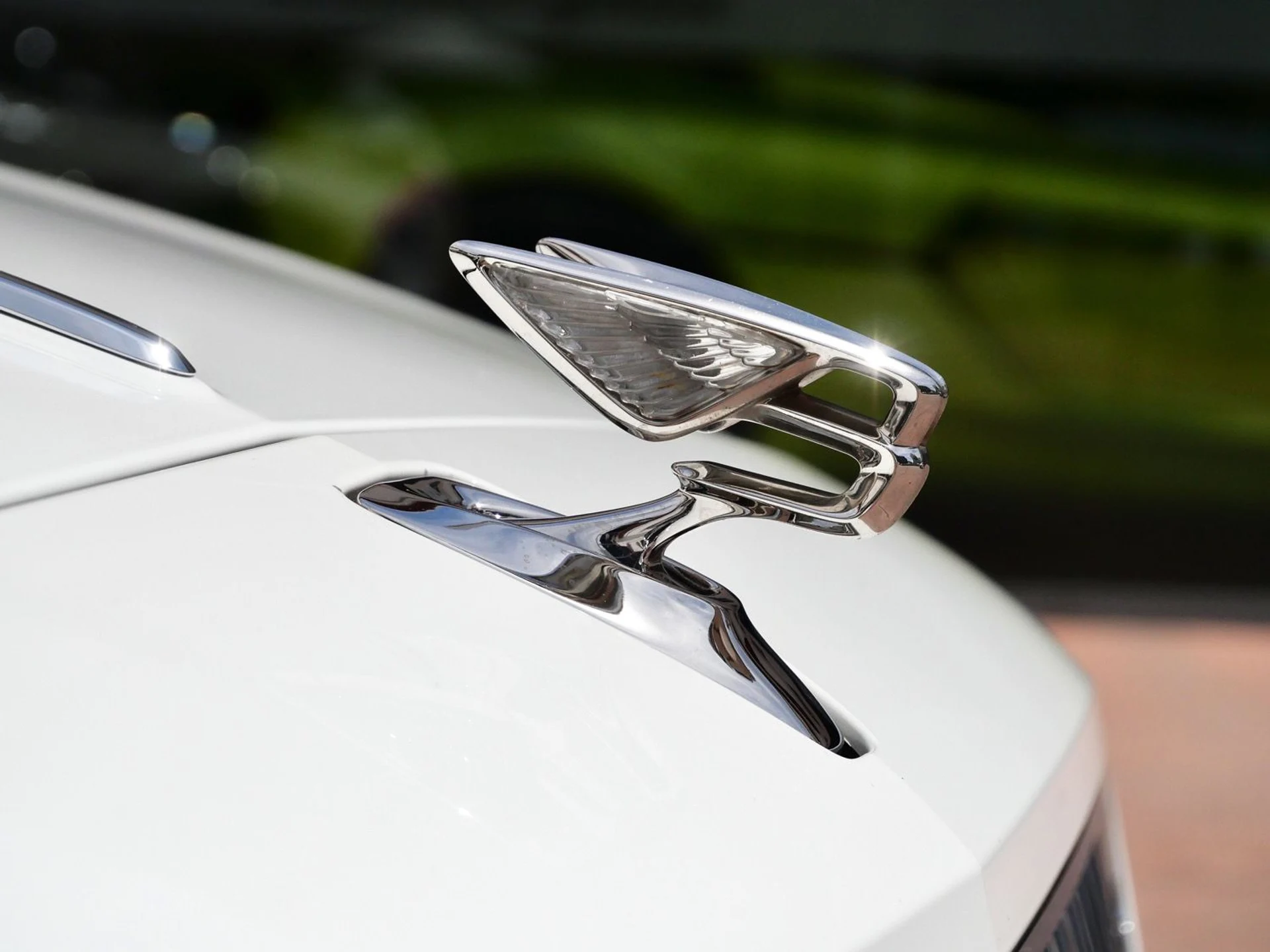 mph006_2326829196_9d5be3be3dae4c111bdd45b52f66d776x_cc168e7d52