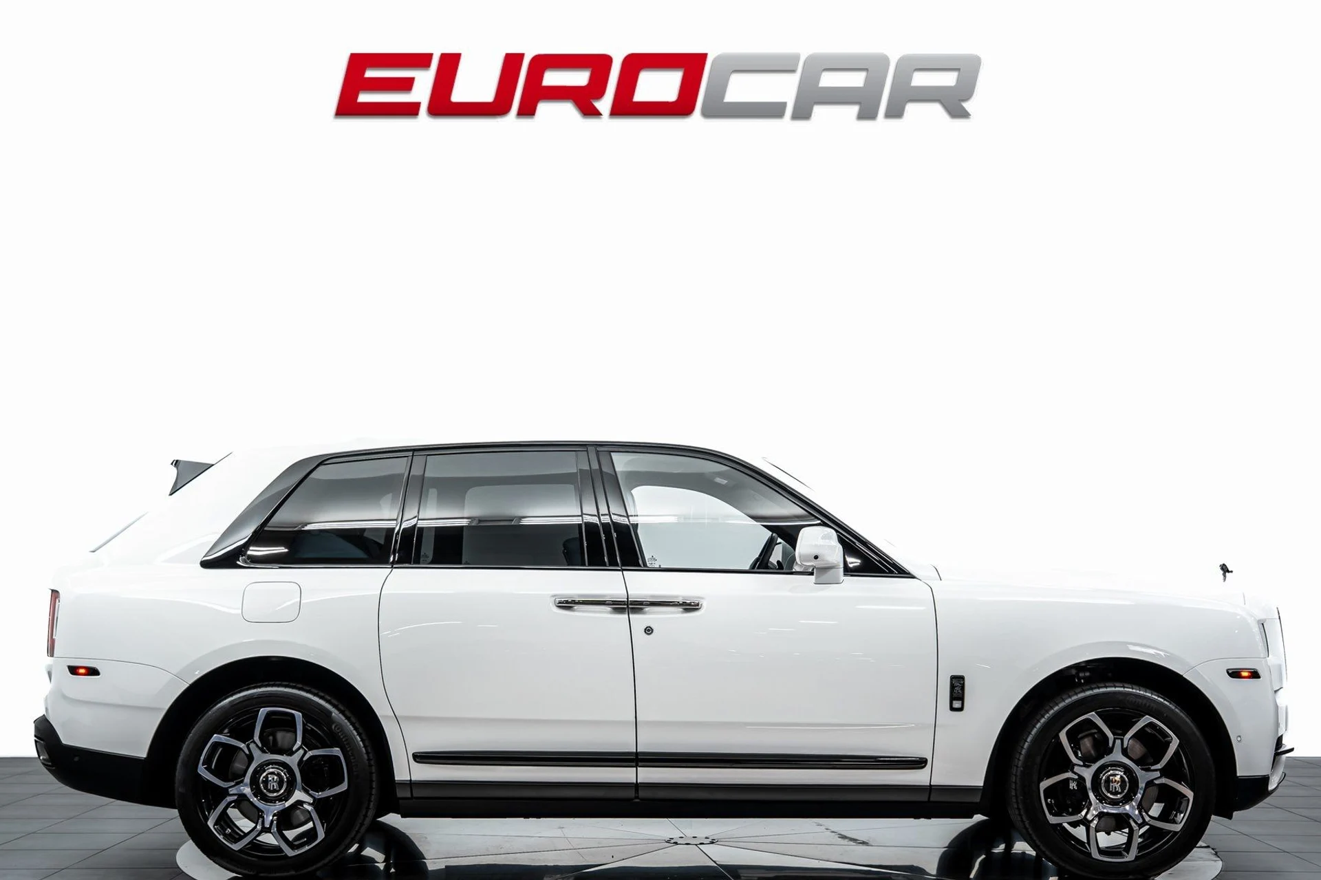 mph006_2334992265_image_7_d590aa3b9c