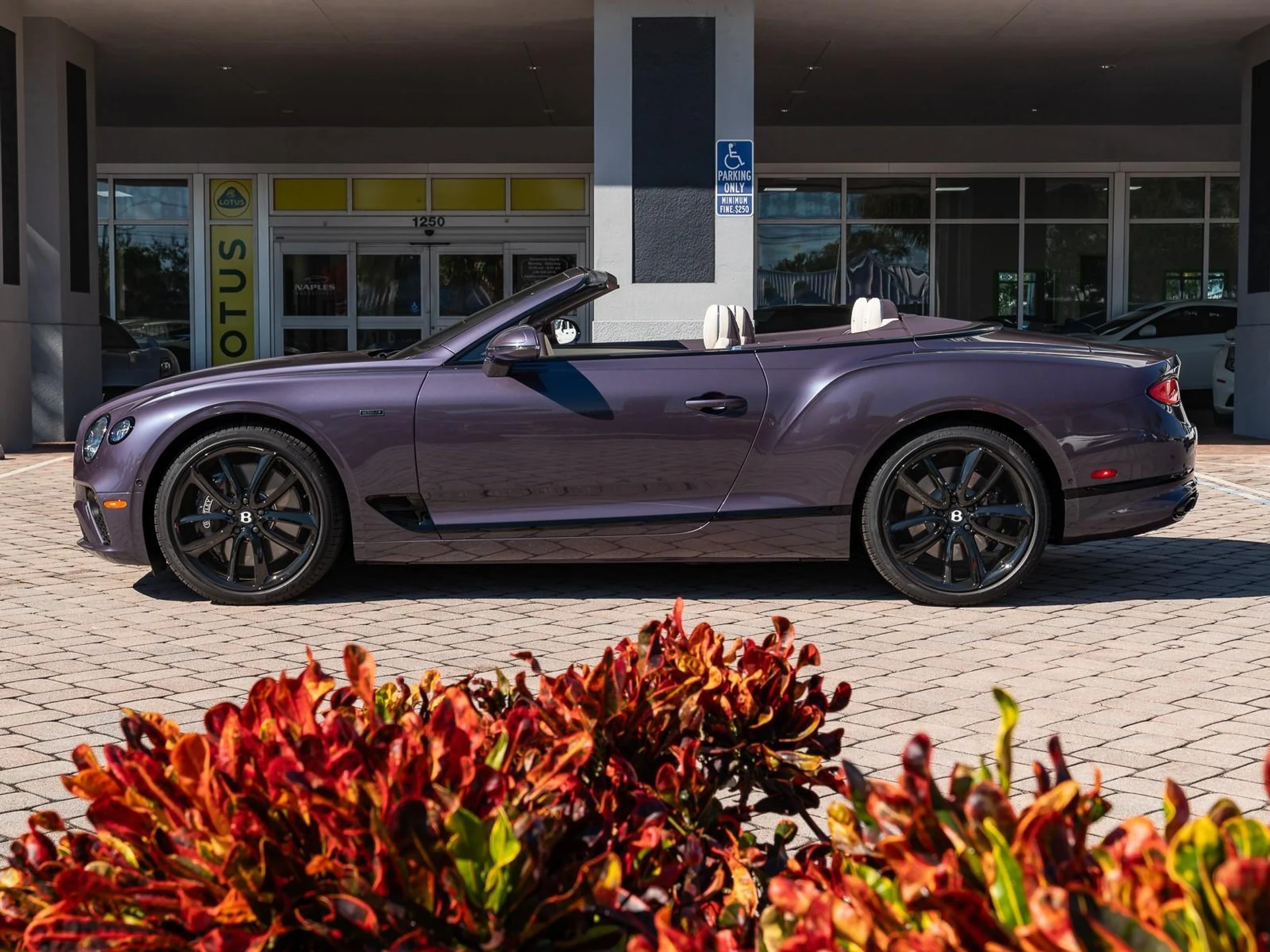 mph006_2352097139_Used_2024_Bentley_Continental_GT_V8_1763485640_b2d58fdfb7