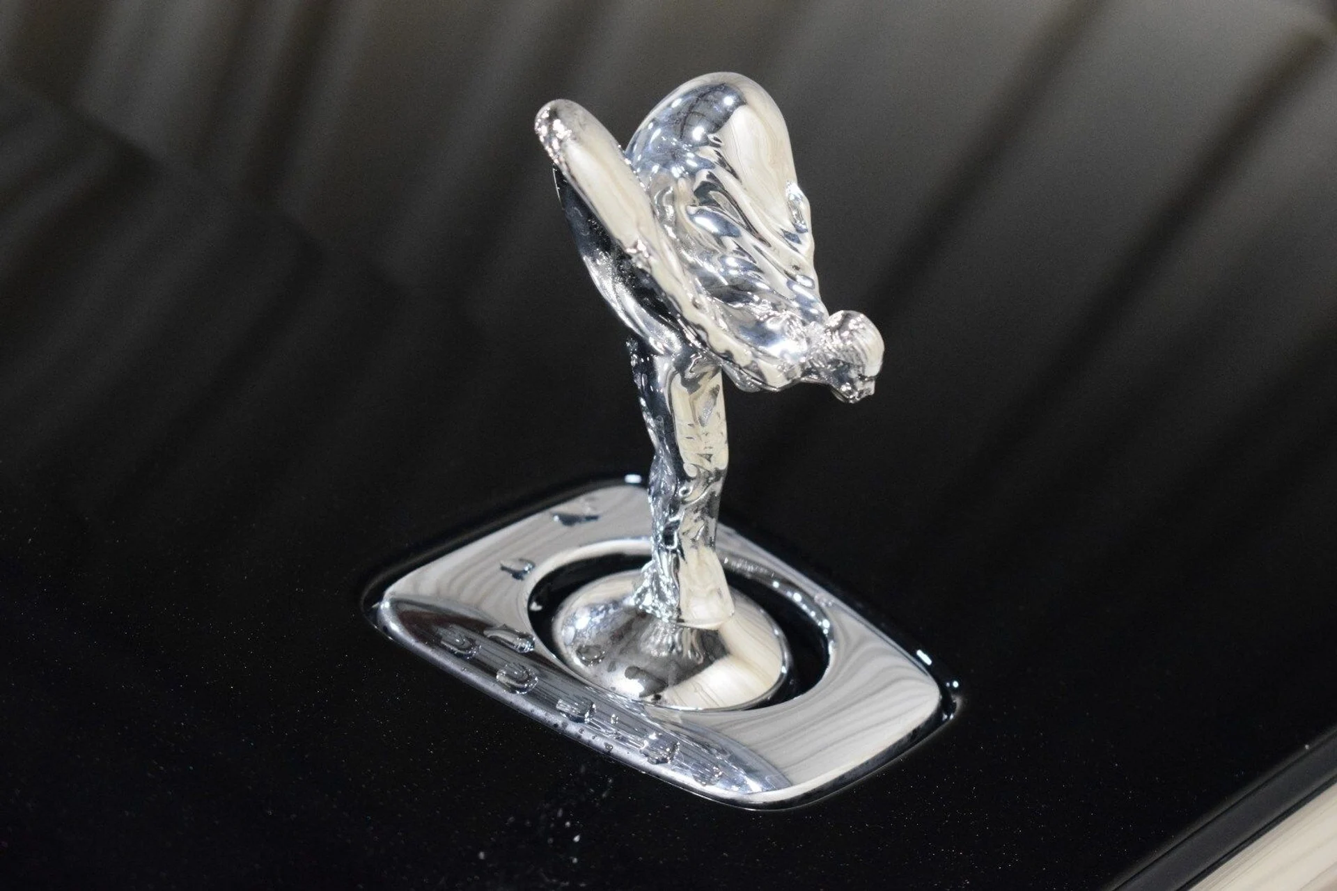 mph006_2368212616_d261bd9d707403d0454ae50eff0cd1b2x_8c1831c2e3