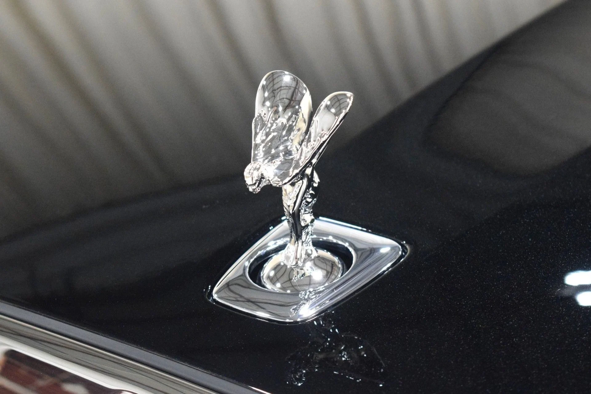 mph006_2444649580_5403de230b1784389b2c36e4280c97e7x_99b1bec7f7