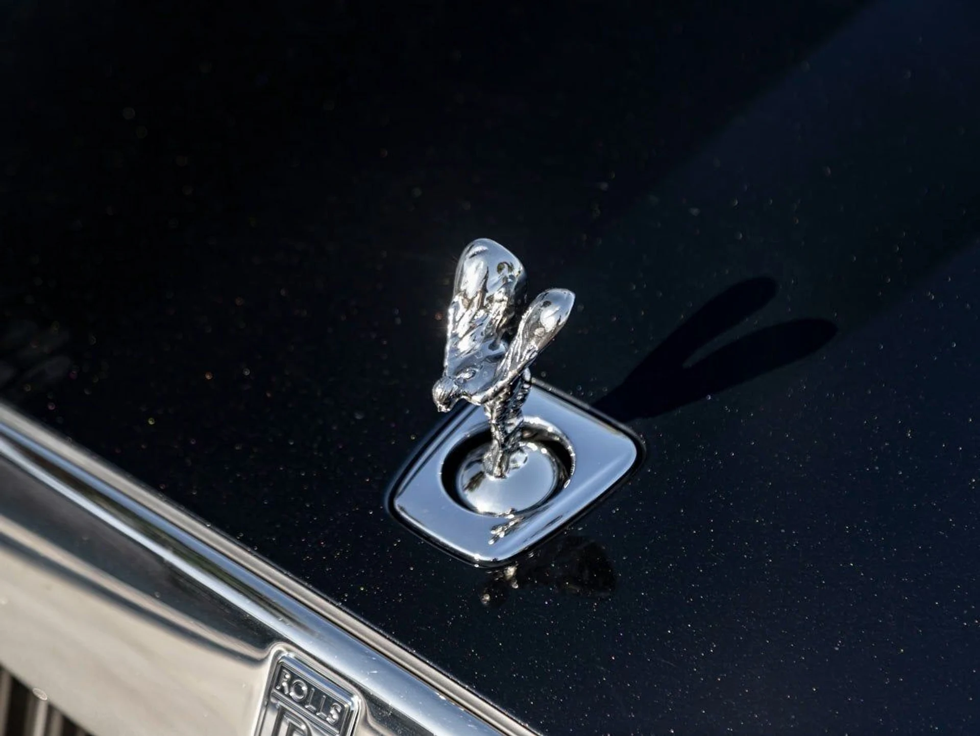 mph006_2463484532_7_f8b152f7f0