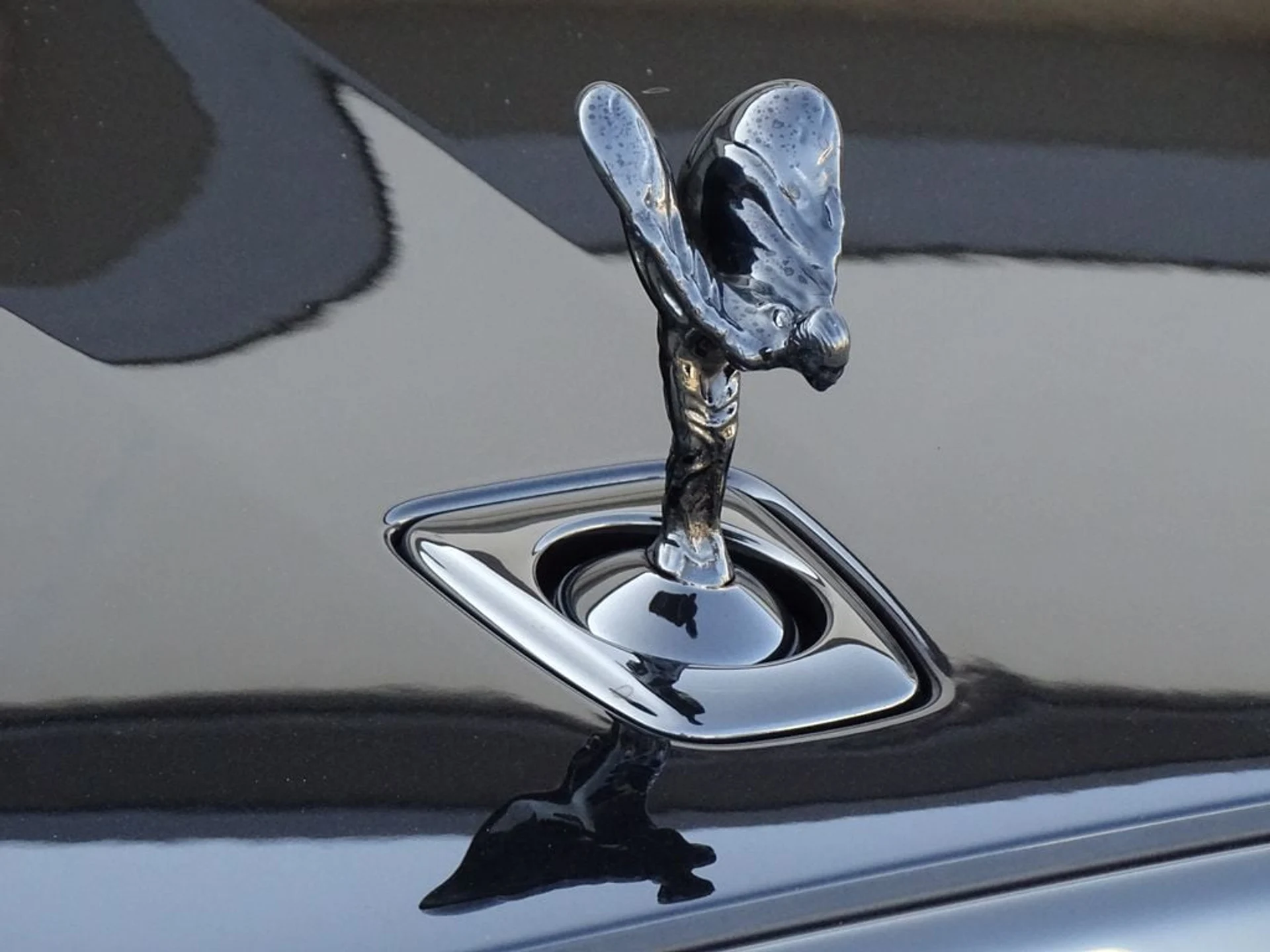 mph006_2481213962_41dd1cecc65706615fca777b8e6e6554x_1c87d0ca56