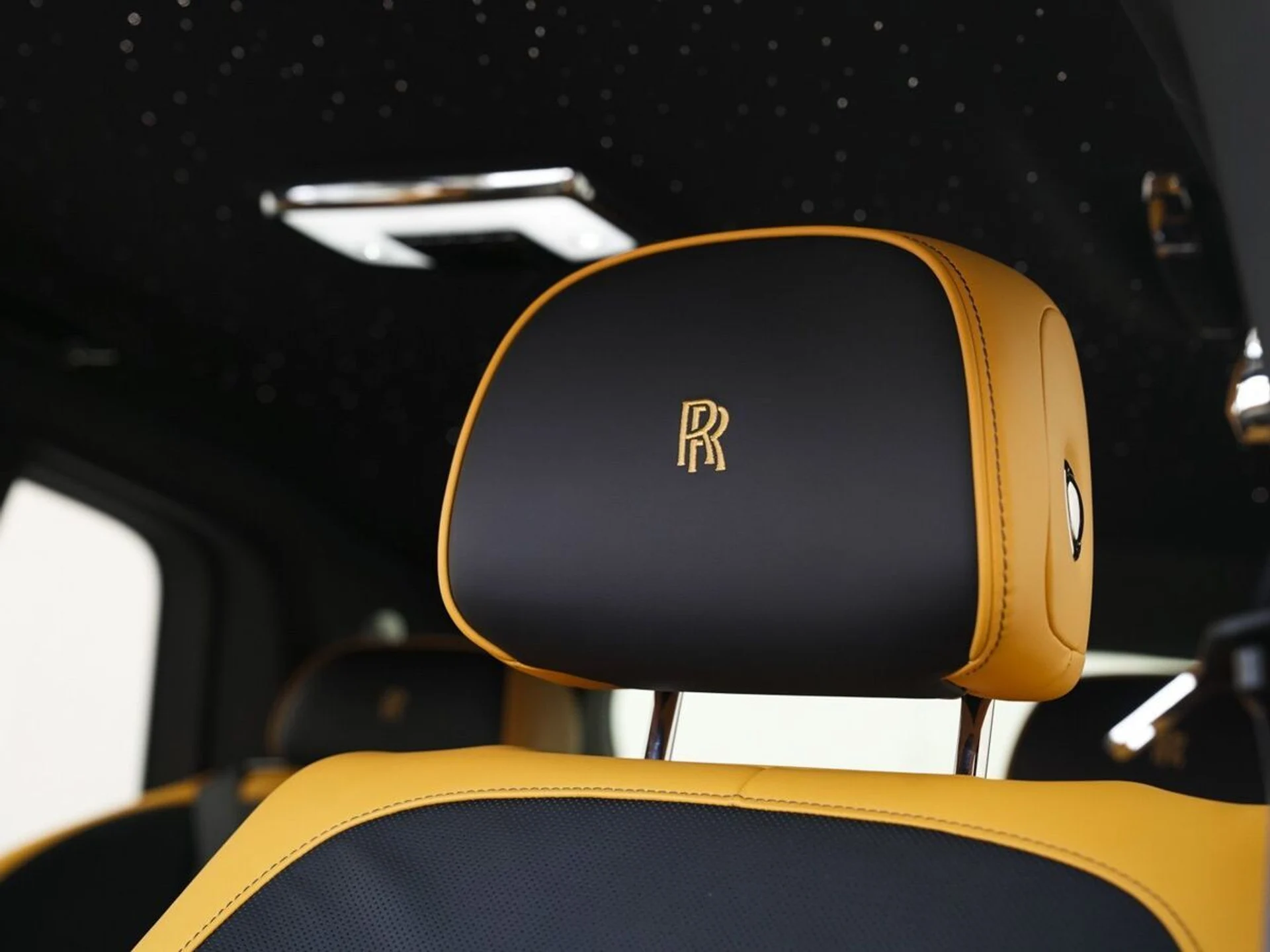 mph006_2484514156_2a7e5qhc2q667vw46dmgir91lydd_6b4988bda3